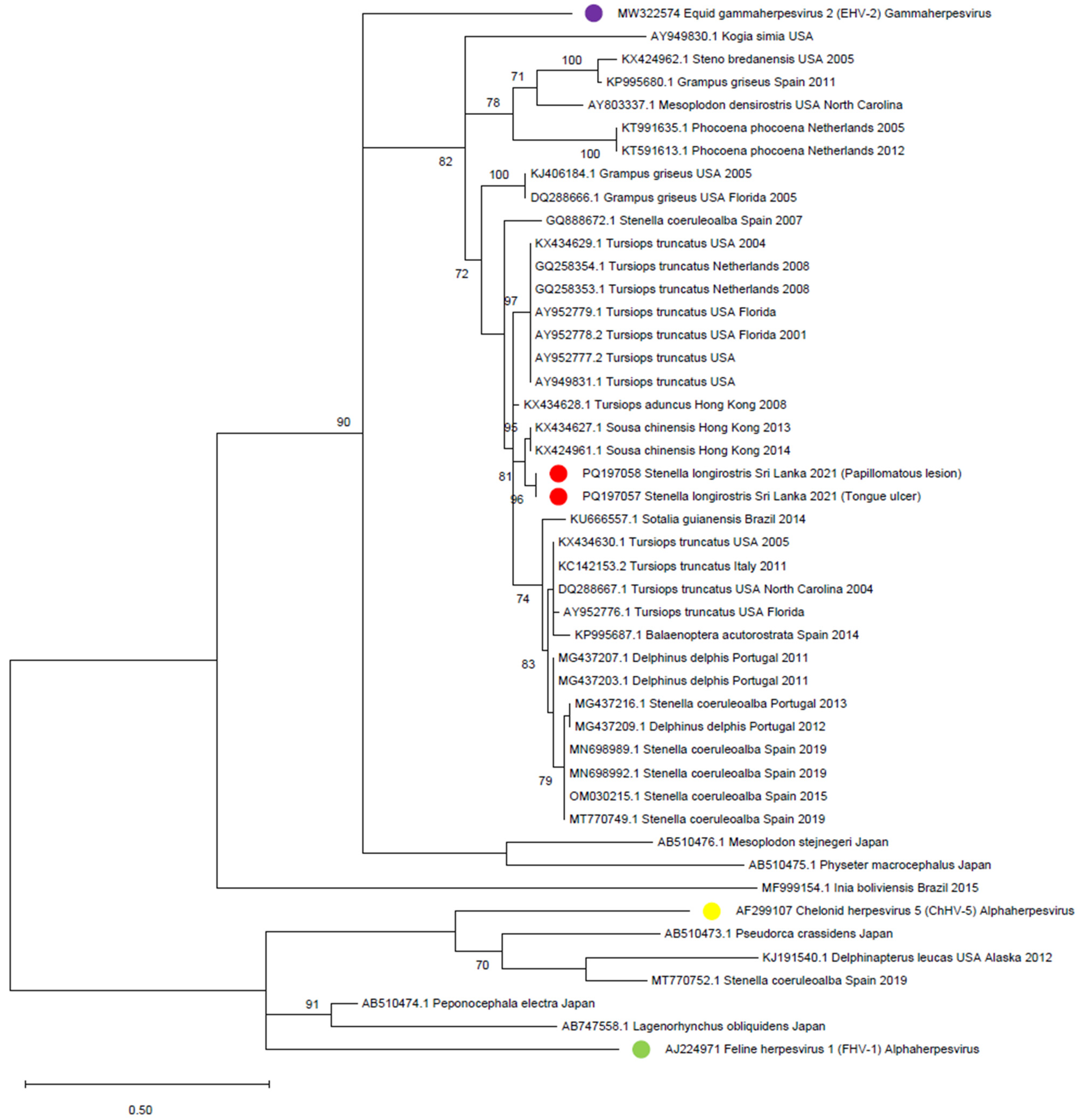 Viruses 16 01662 g003