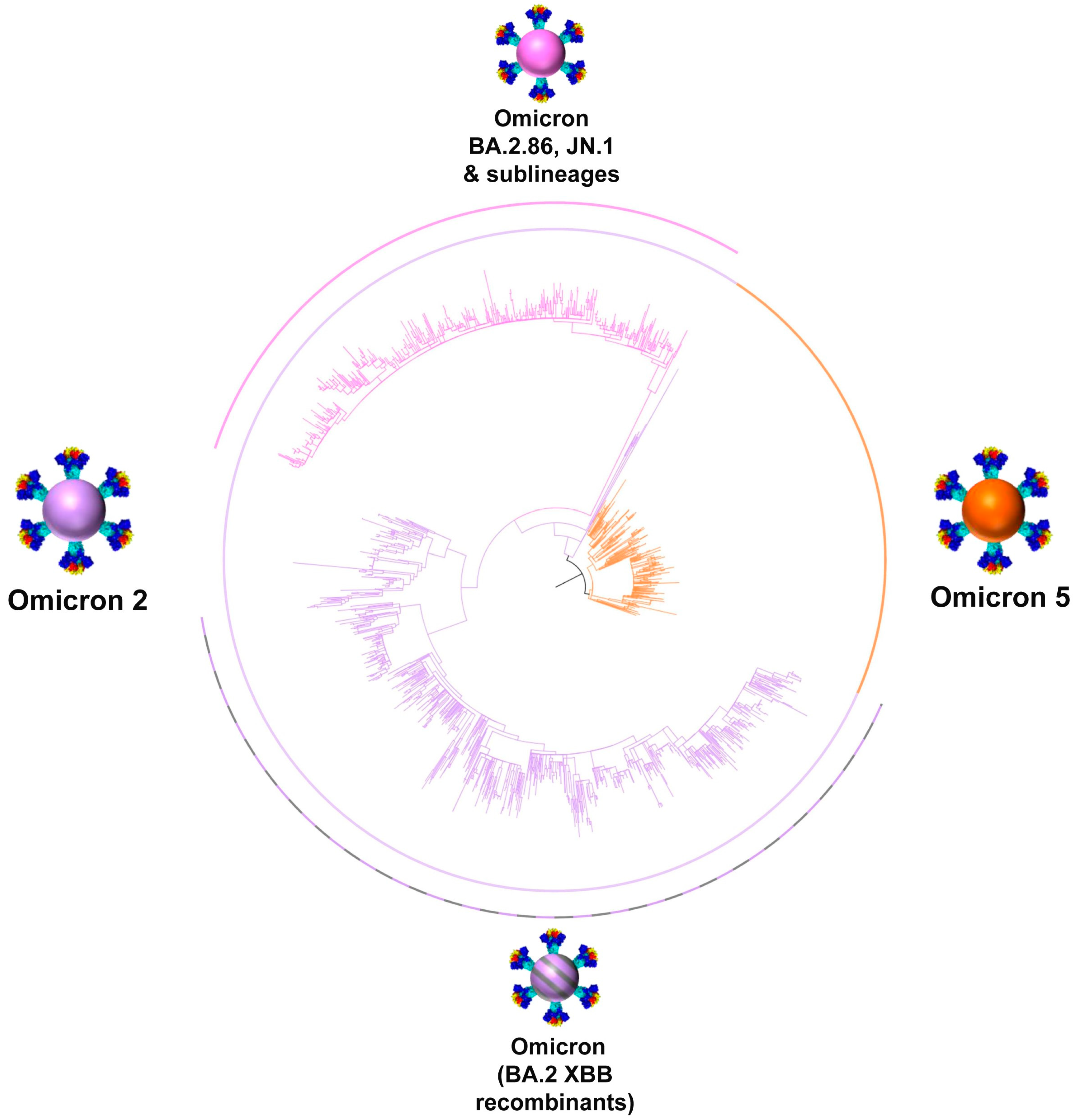 Viruses 16 01686 g005 Viruses 16 01686 g005