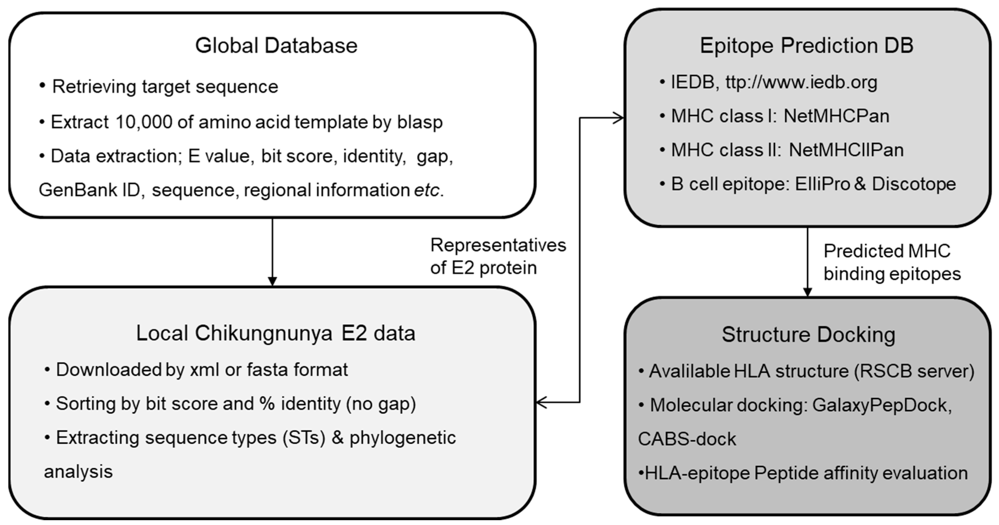 Viruses 16 01689 g001