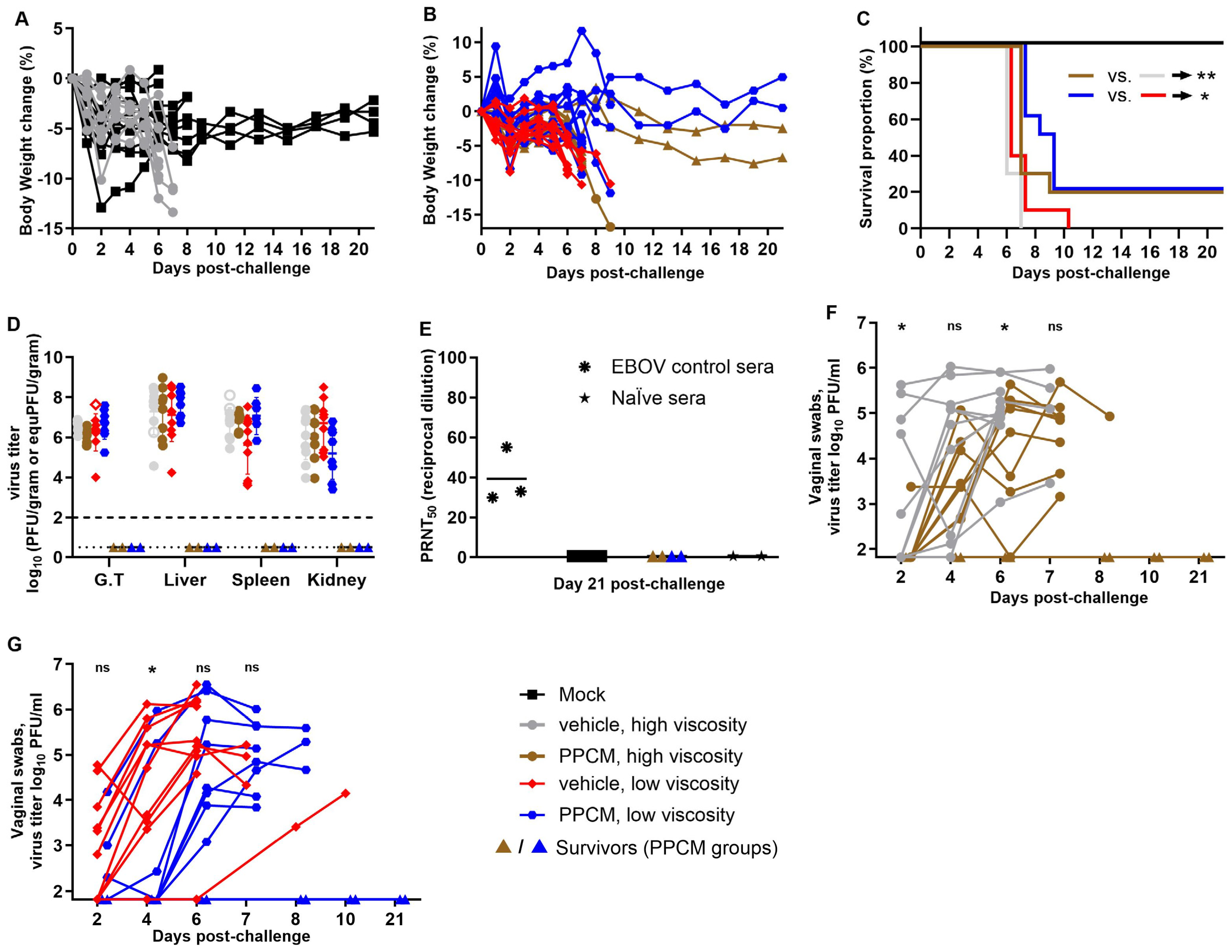 Viruses 16 01693 g001