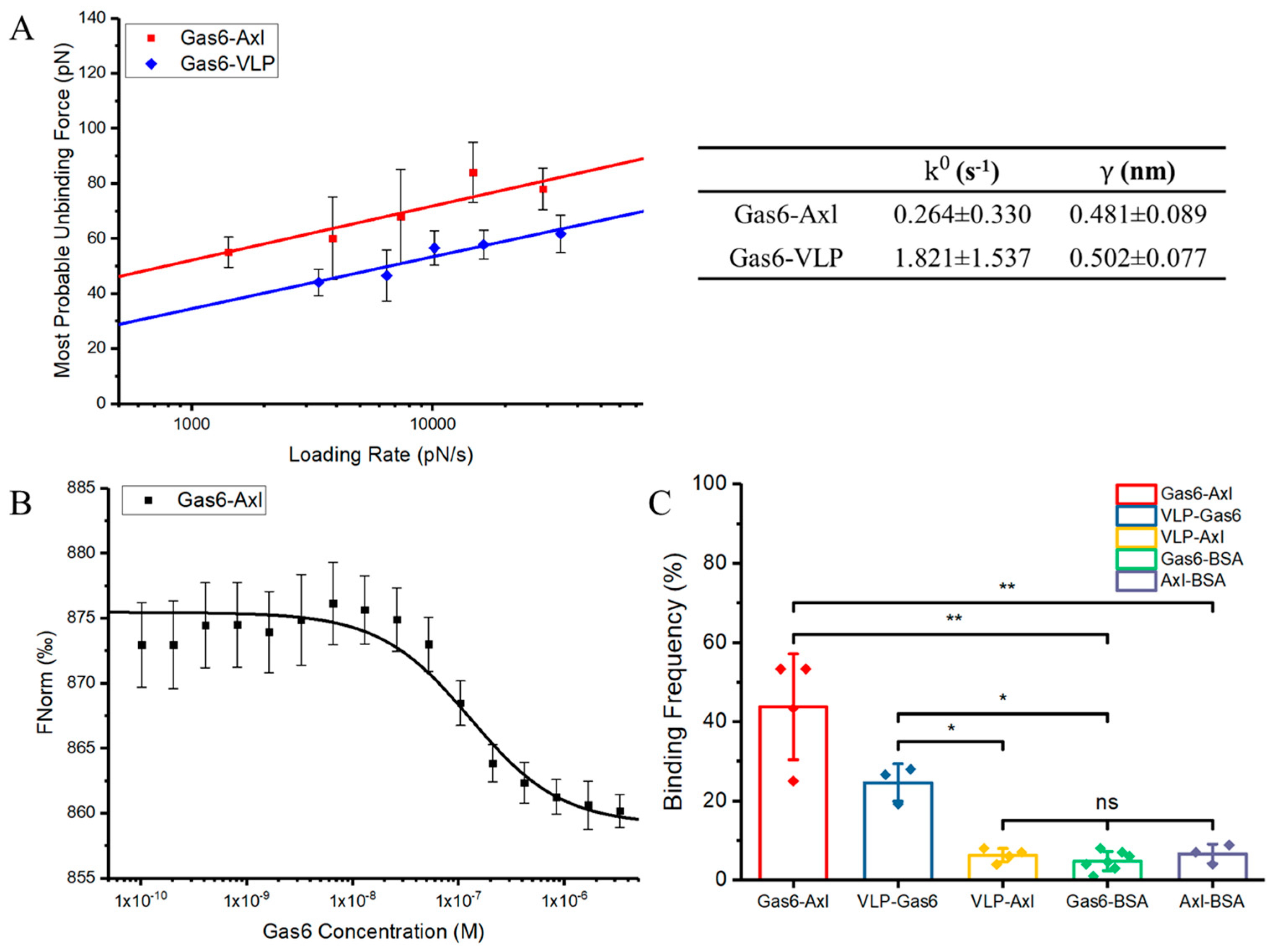 Viruses 16 01700 g001