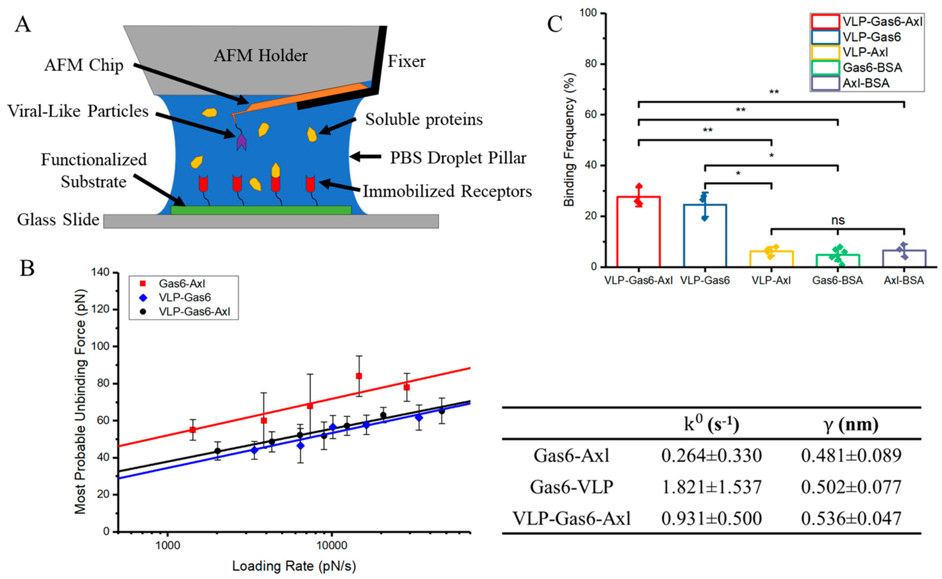 Viruses 16 01700 g002