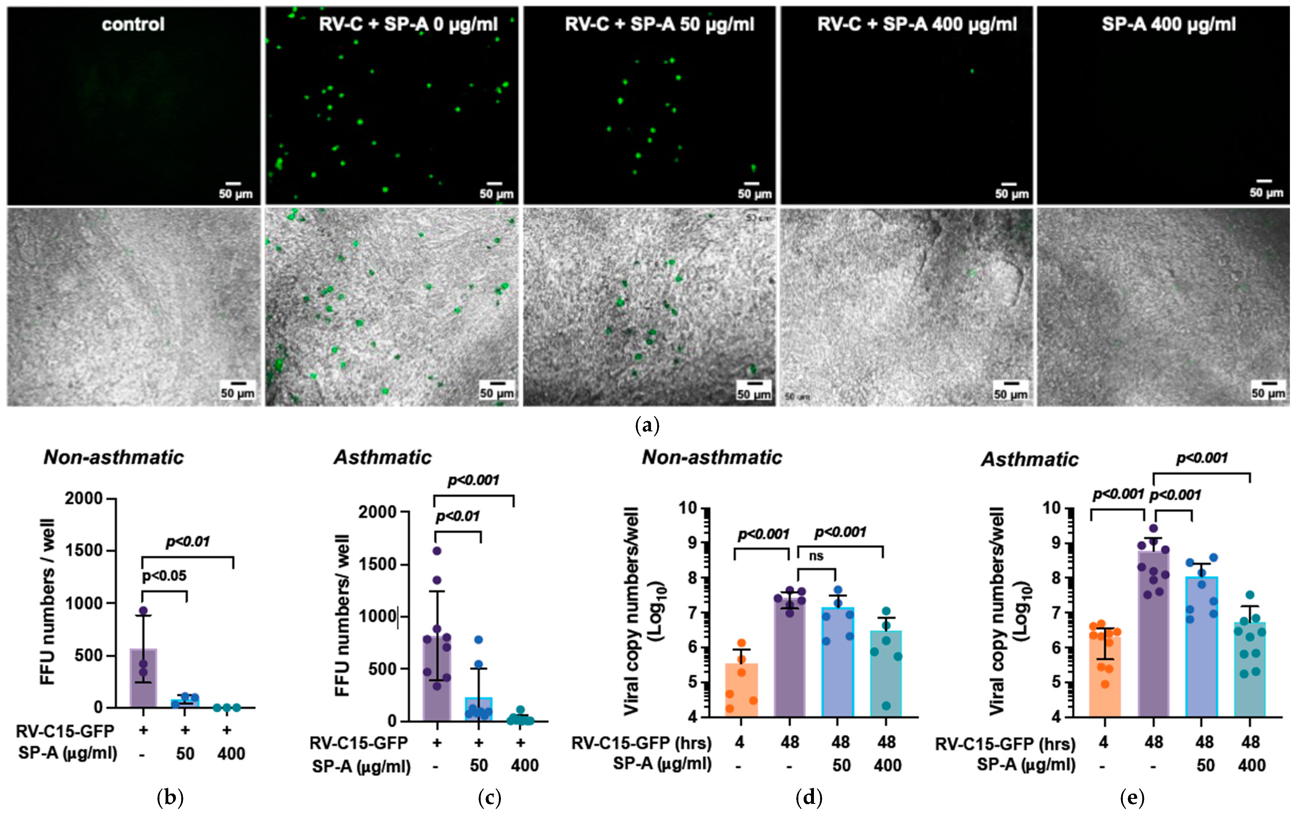 Viruses 16 01709 g001
