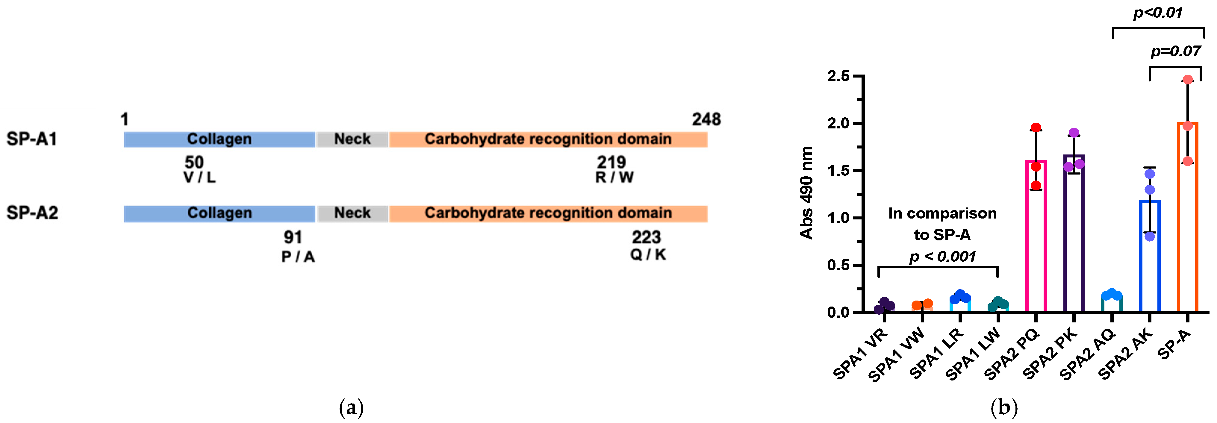 Viruses 16 01709 g005