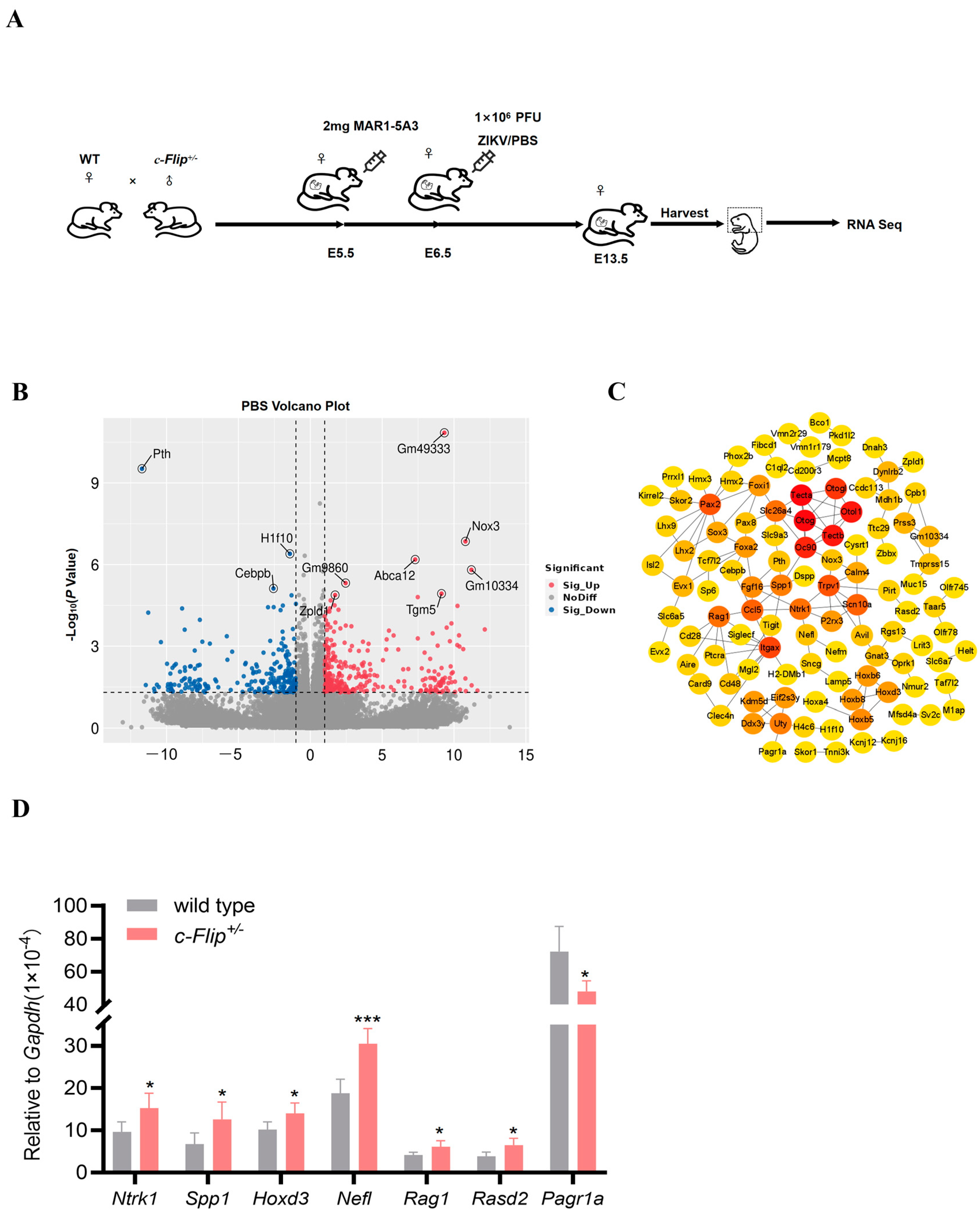 Viruses 16 01712 g001