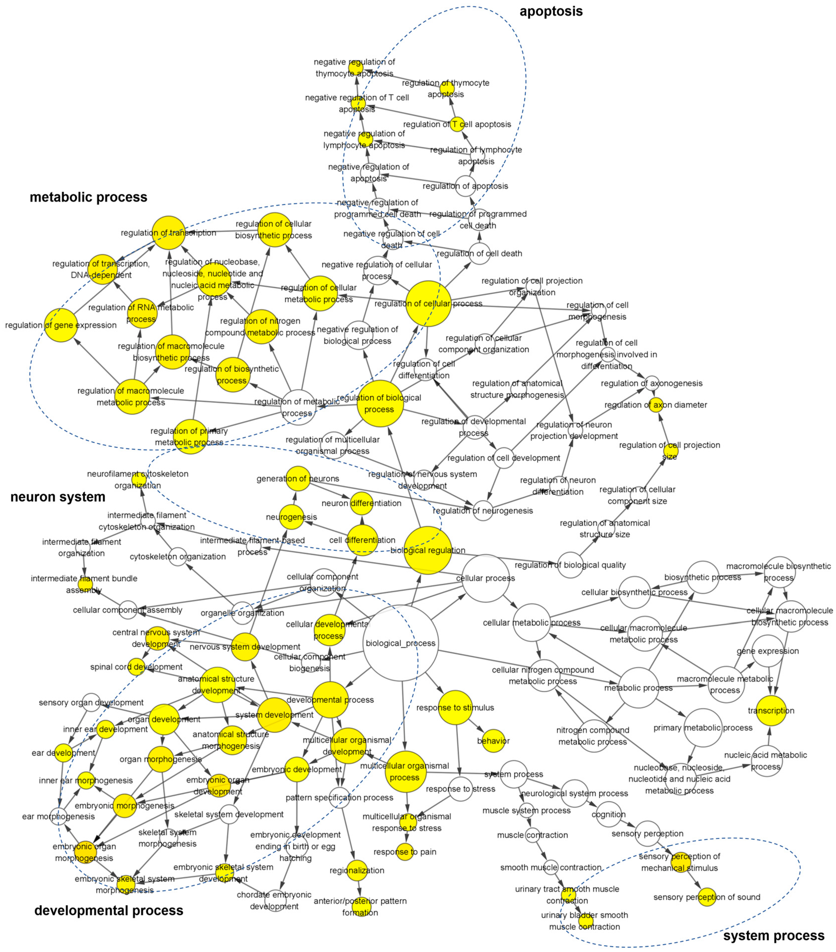 Viruses 16 01712 g003