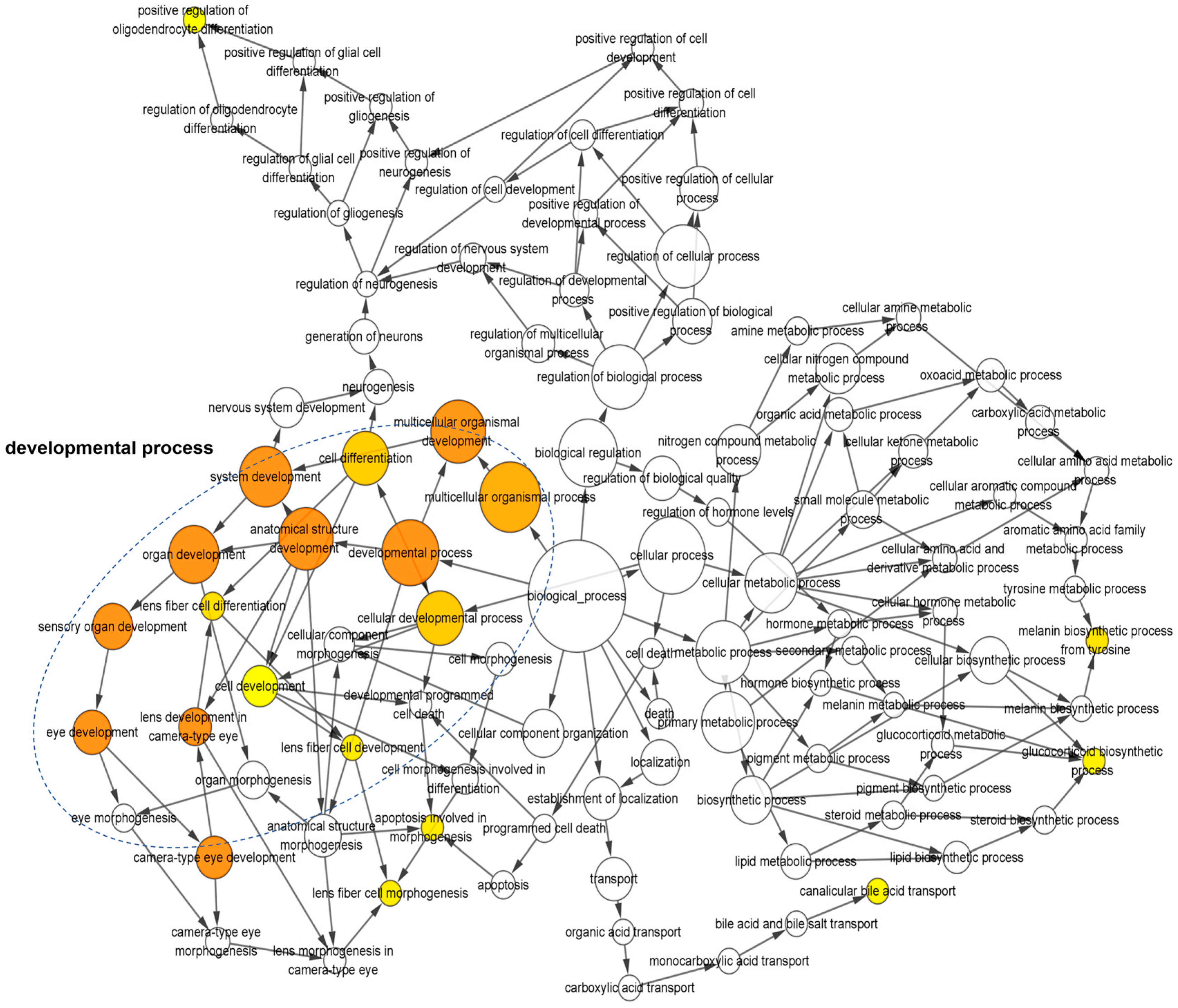 Viruses 16 01712 g006
