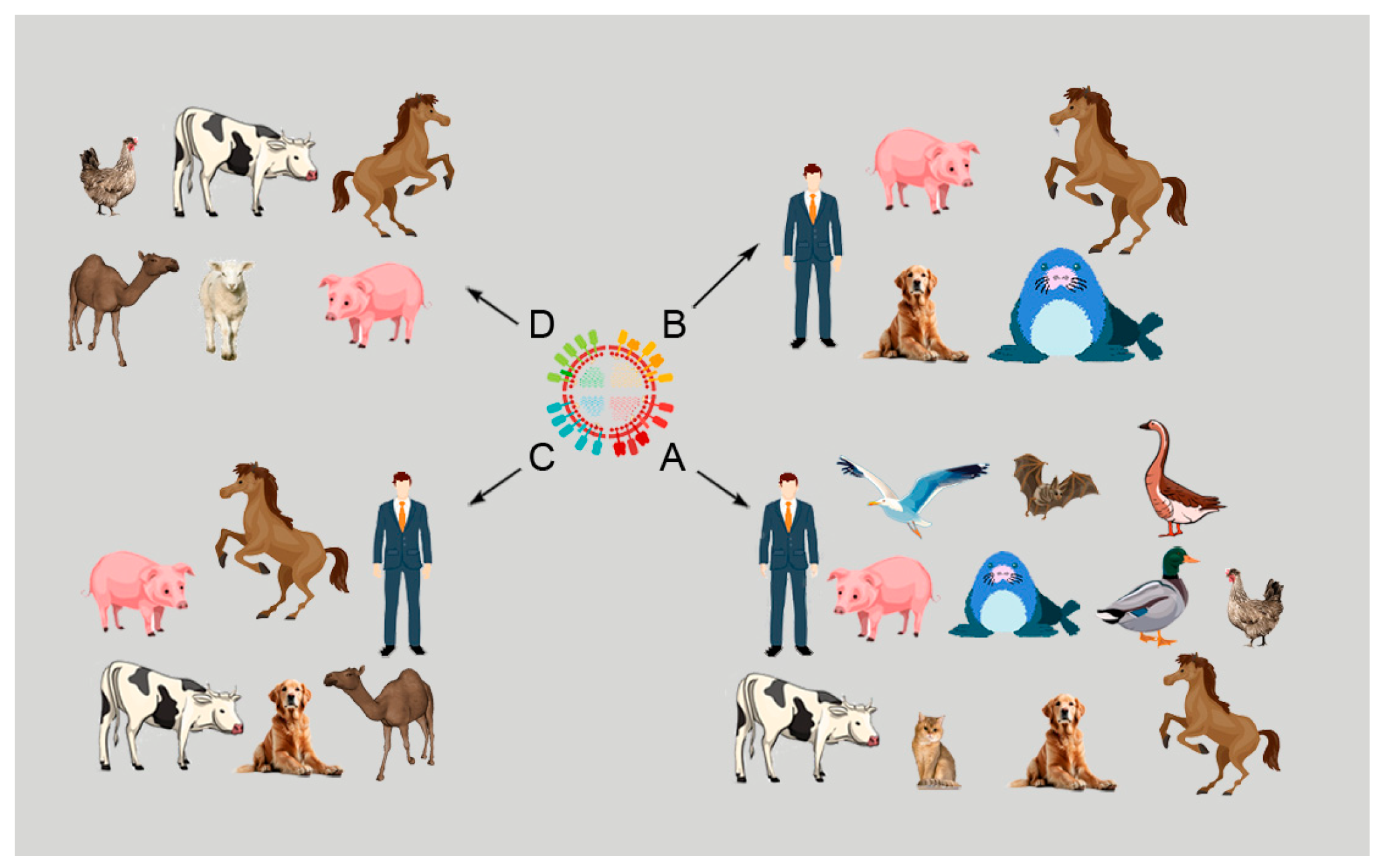 Viruses 16 01728 g001