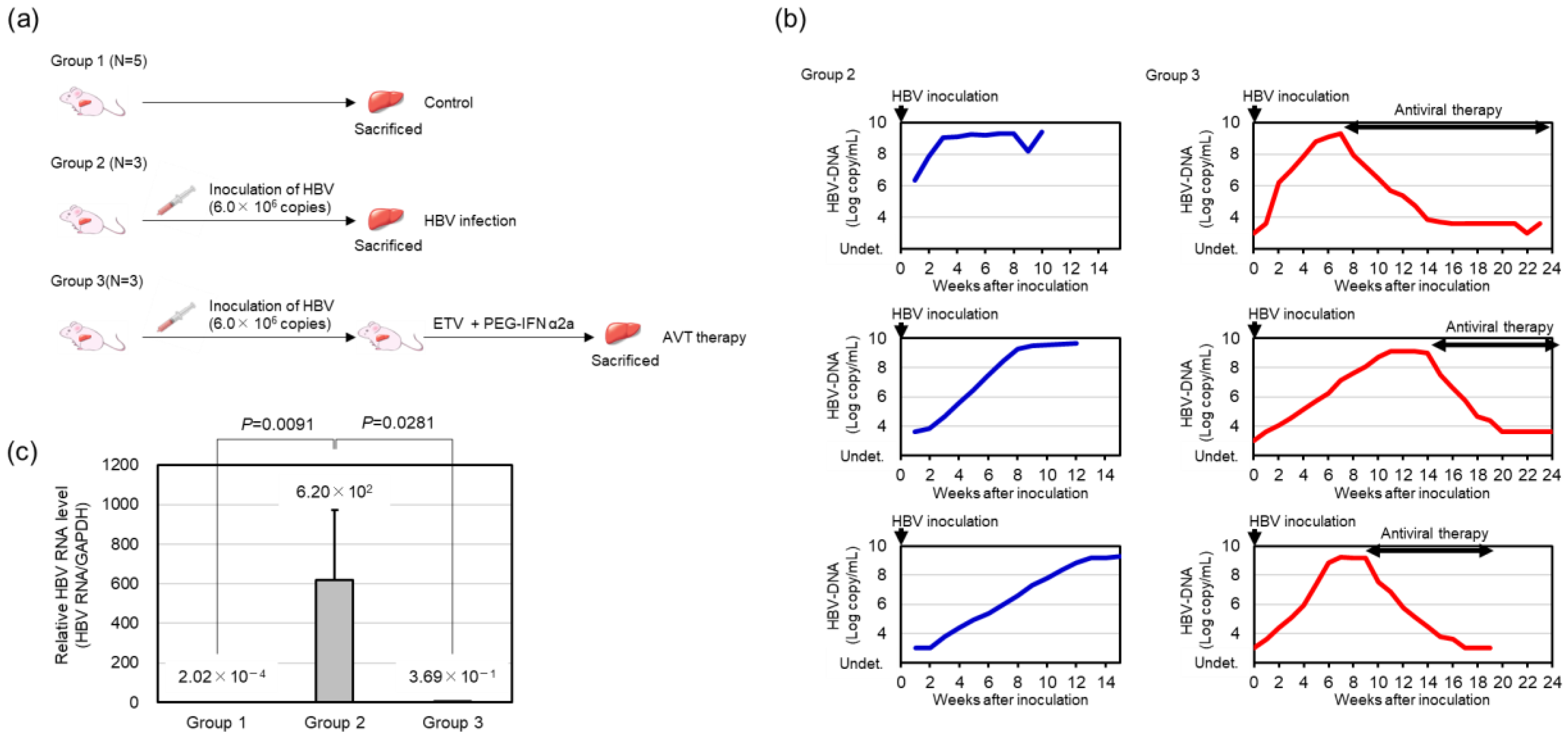 Viruses 16 01743 g001