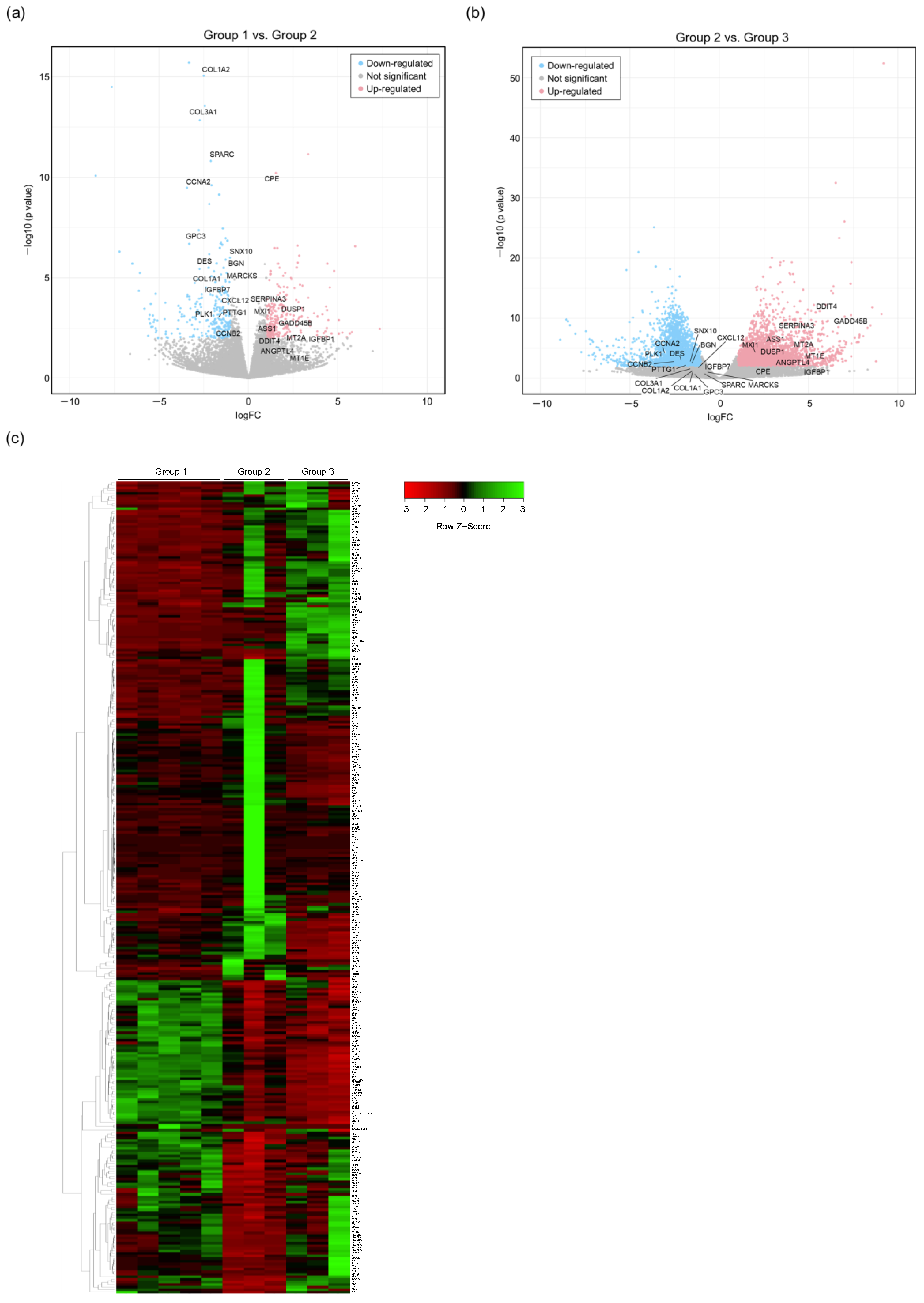 Viruses 16 01743 g002