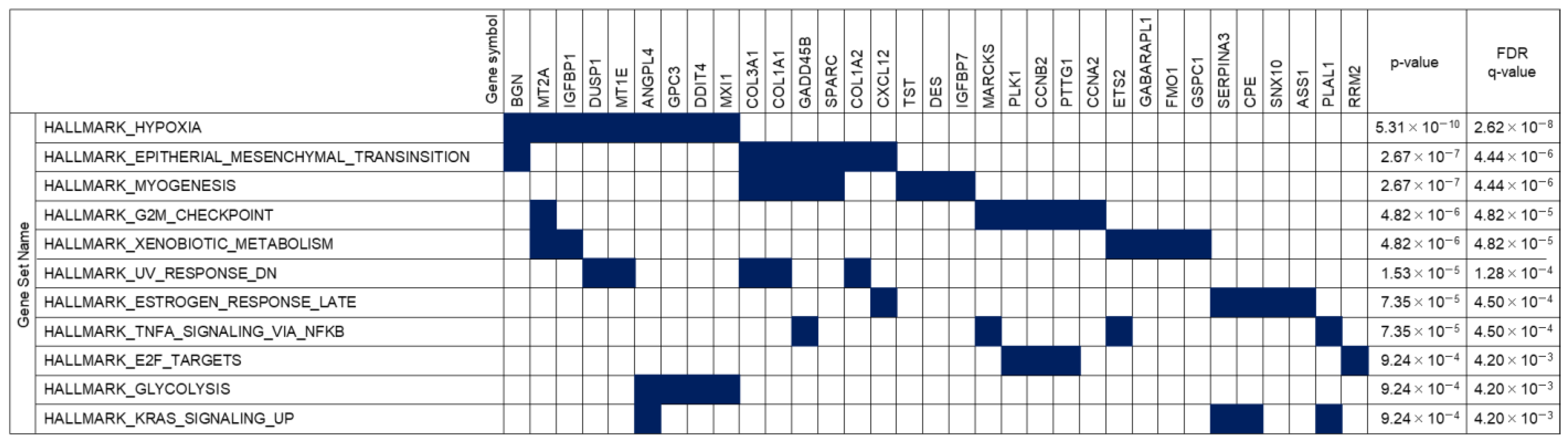 Viruses 16 01743 g003