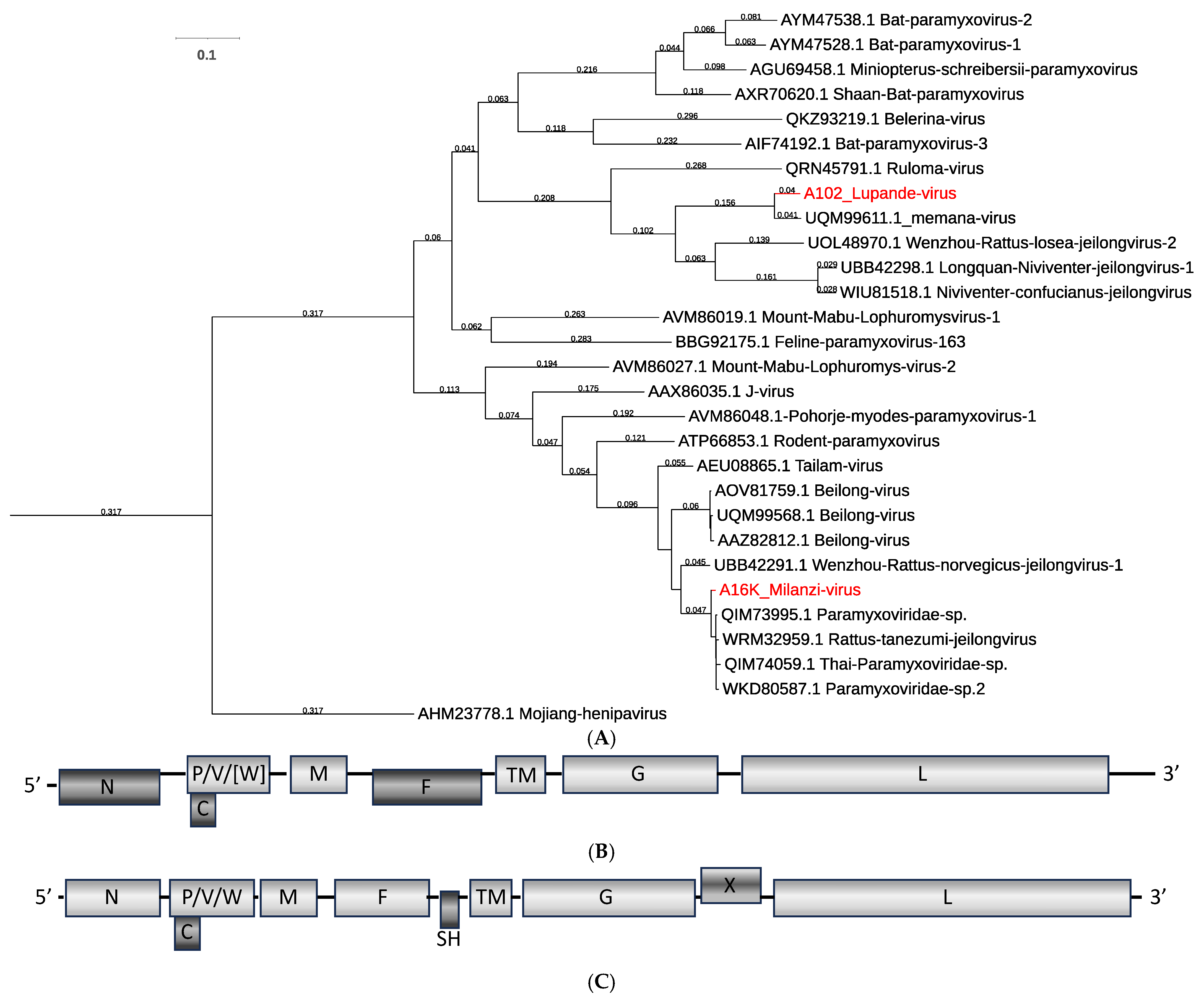 Viruses 16 01754 g003 Viruses 16 01754 g003