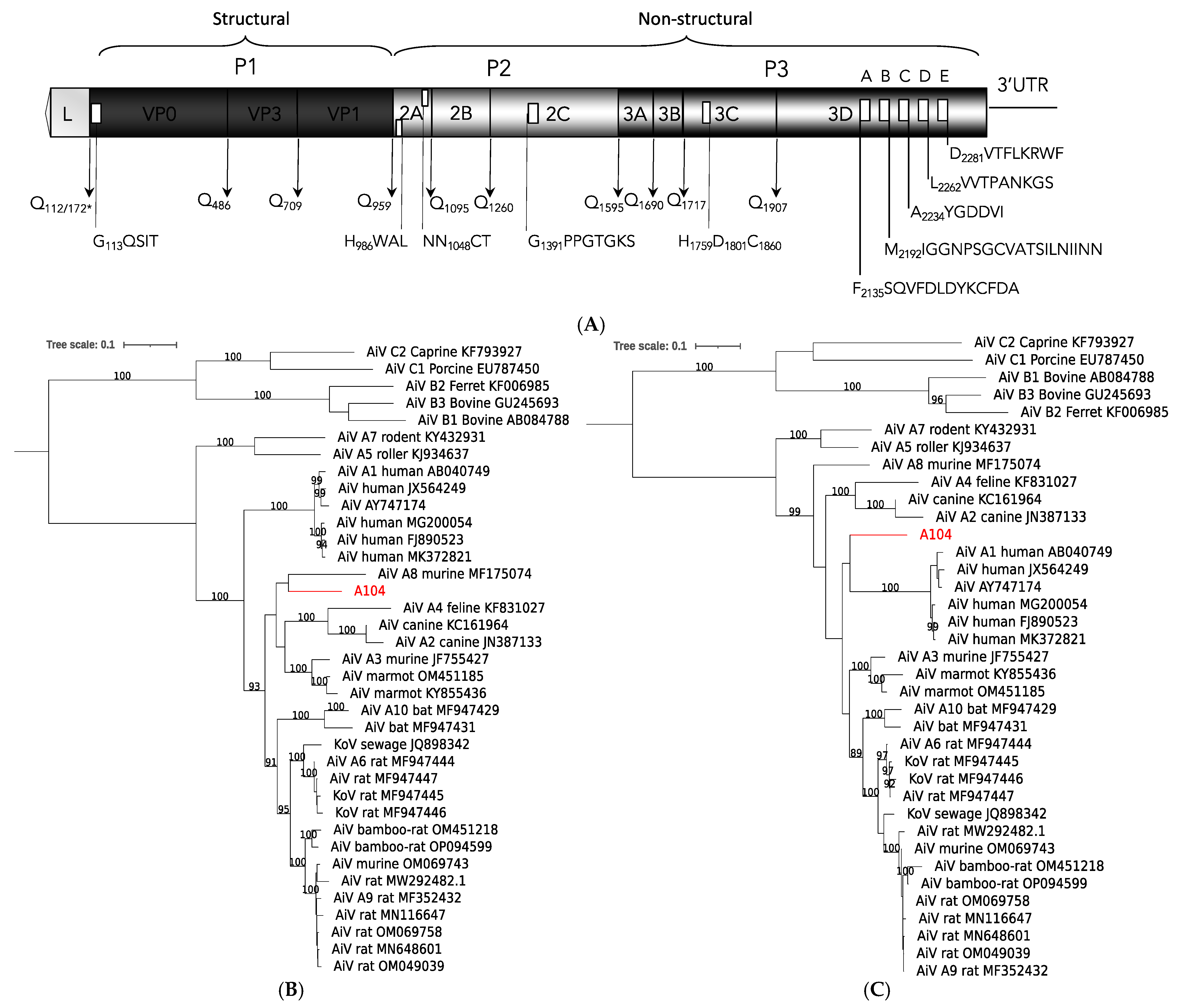 Viruses 16 01754 g004 Viruses 16 01754 g004