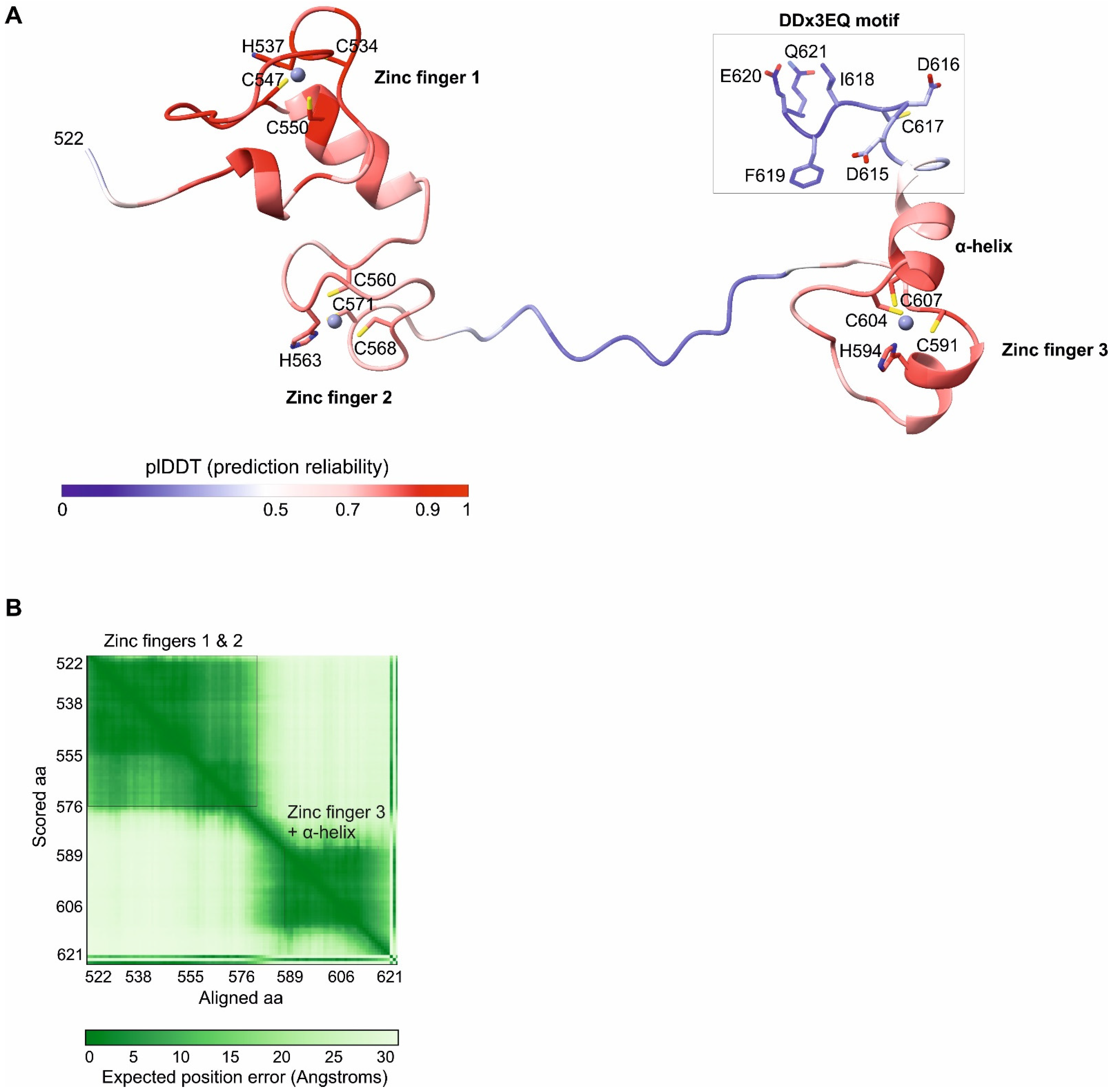 Viruses 16 01760 g002