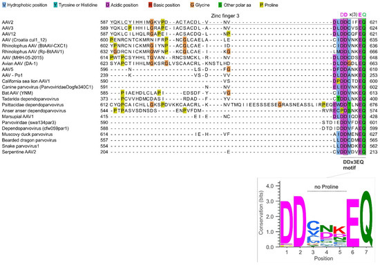 Viruses 16 01760 g003
