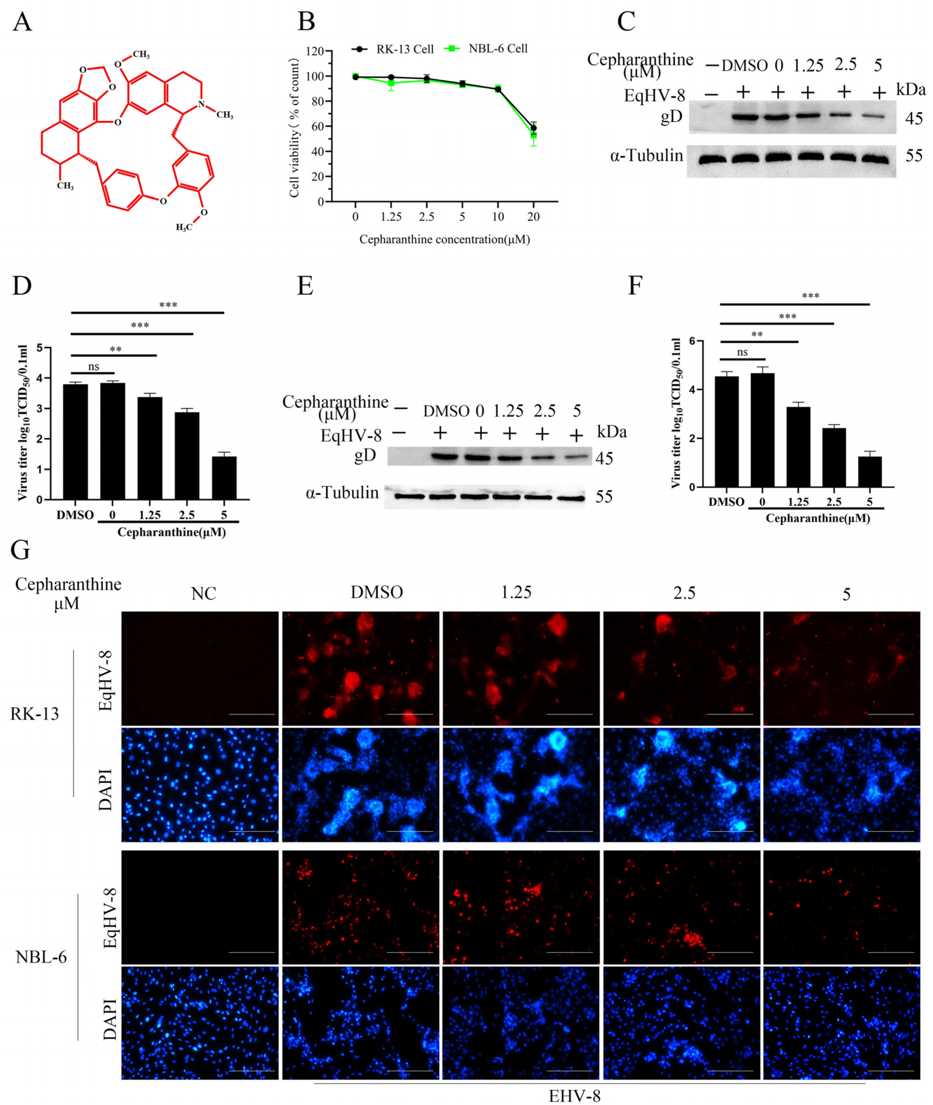 Viruses 16 01765 g001