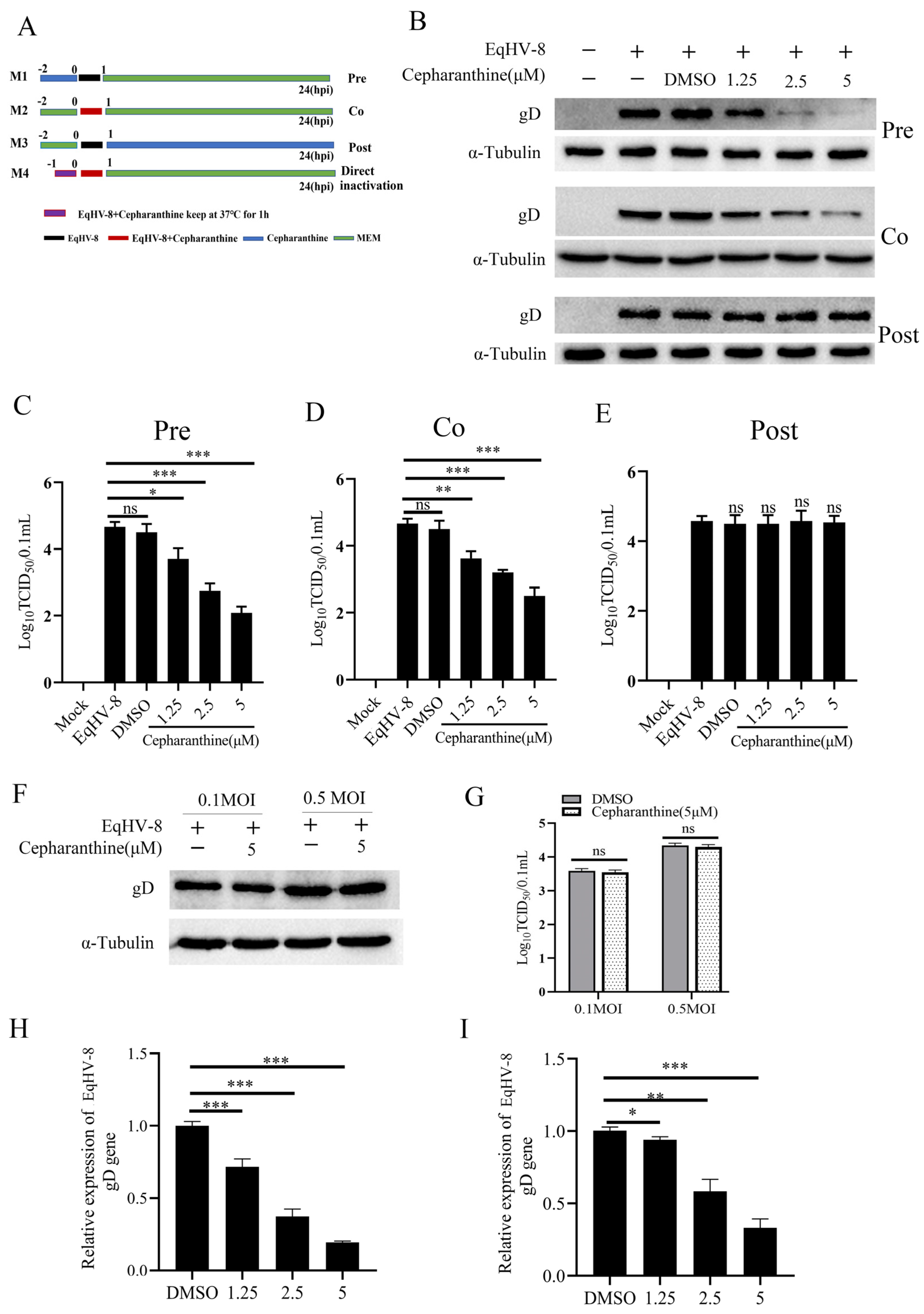 Viruses 16 01765 g003