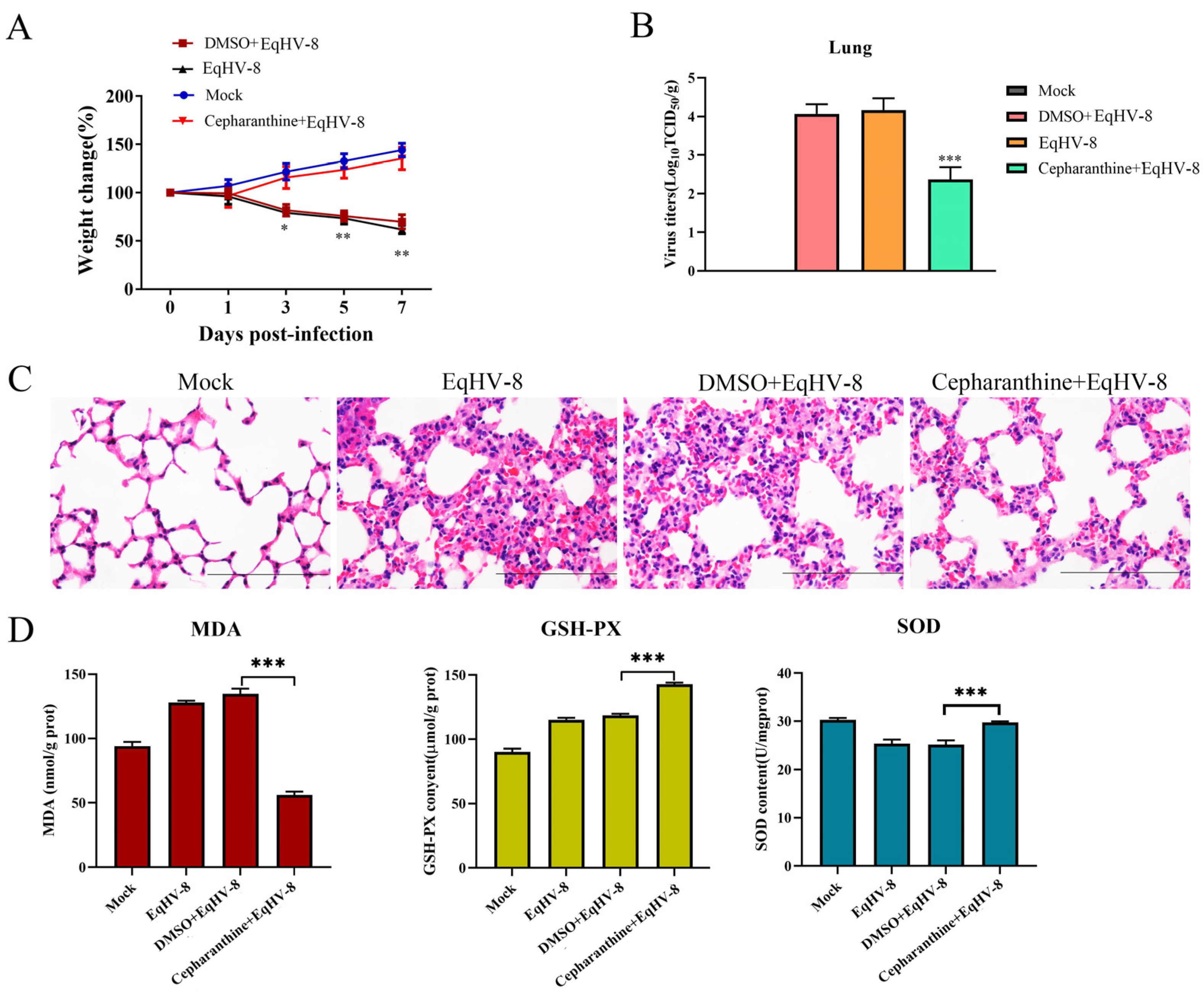 Viruses 16 01765 g008