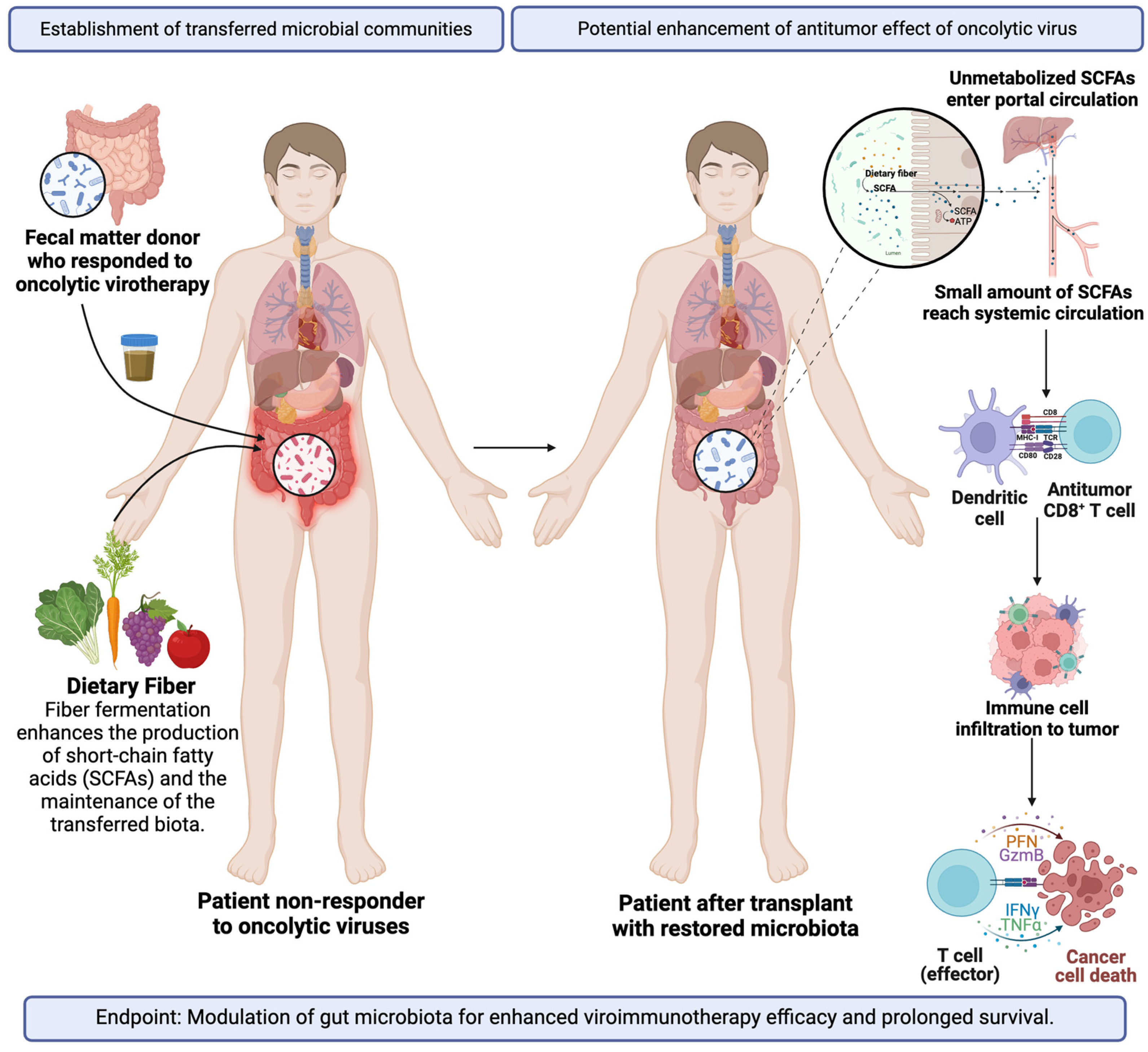 Viruses 16 01775 g002