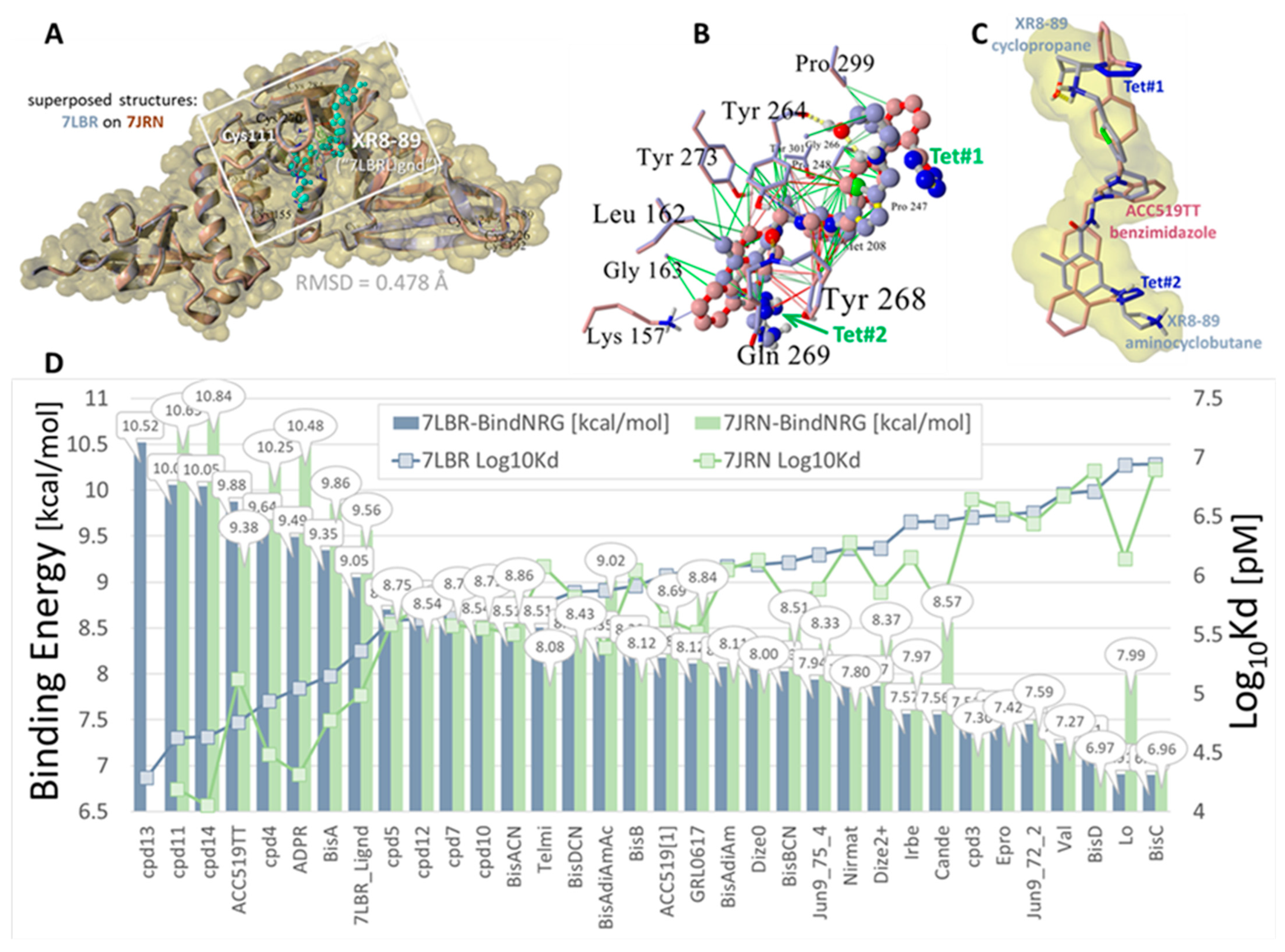 Viruses 16 01776 g002