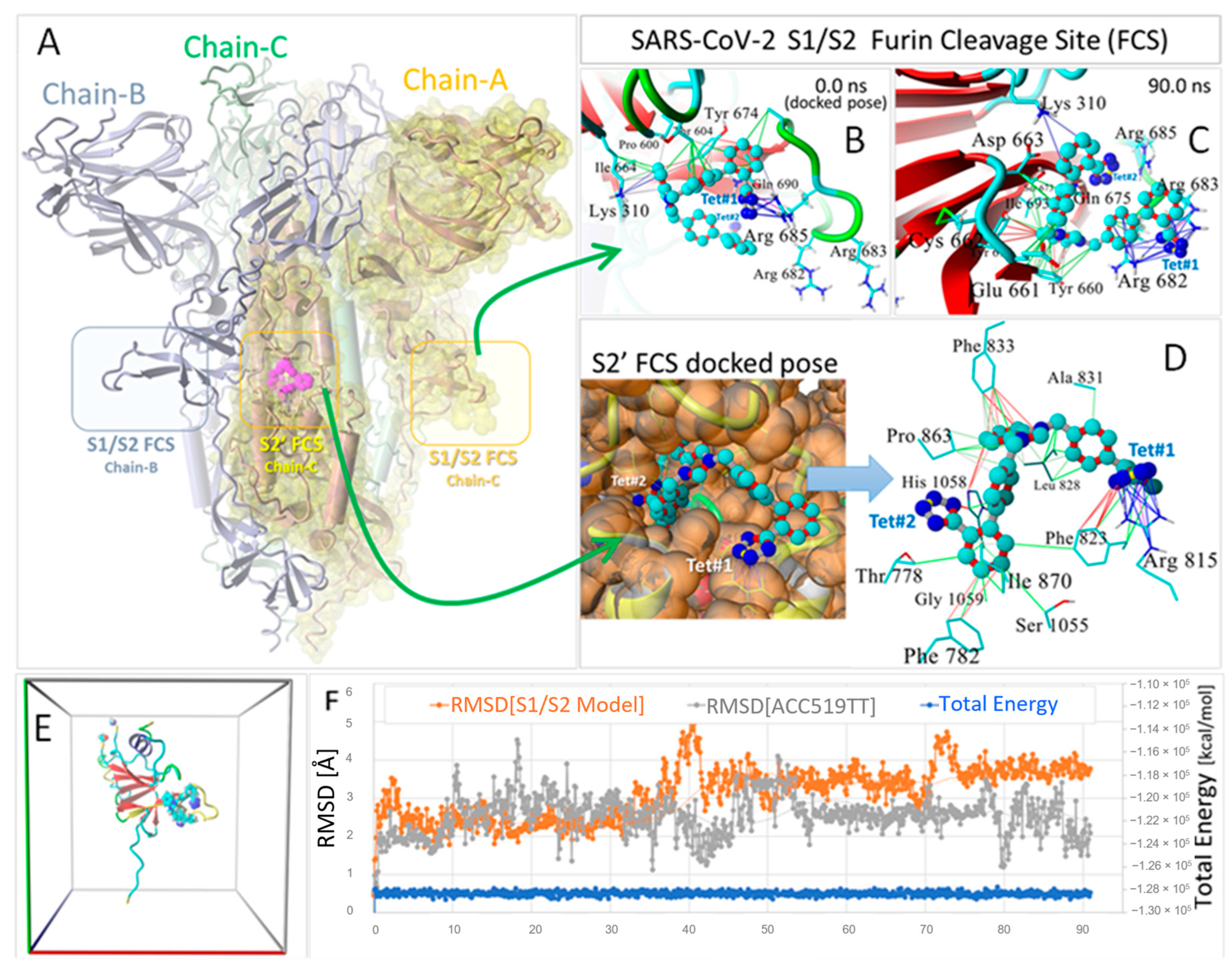 Viruses 16 01776 g004