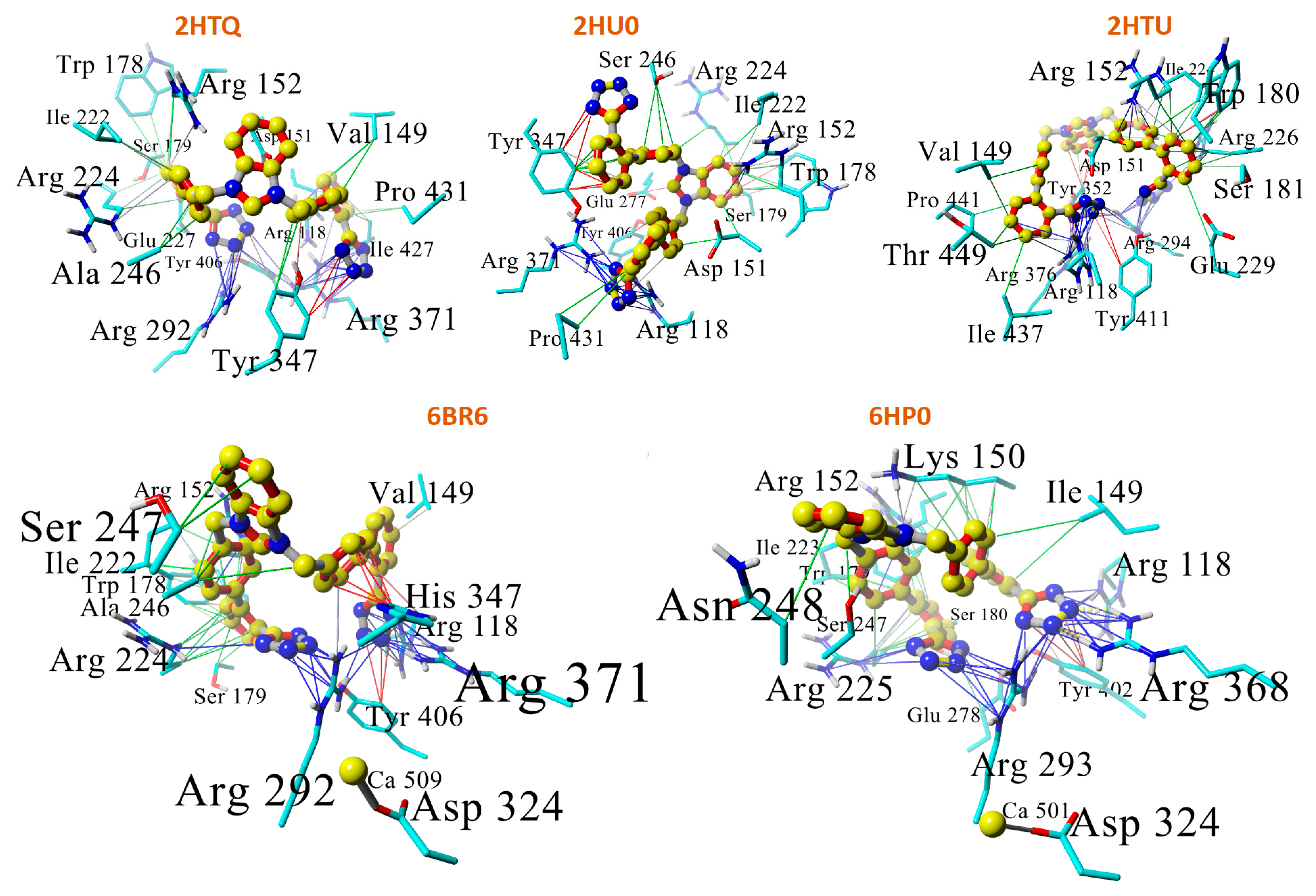Viruses 16 01776 g006
