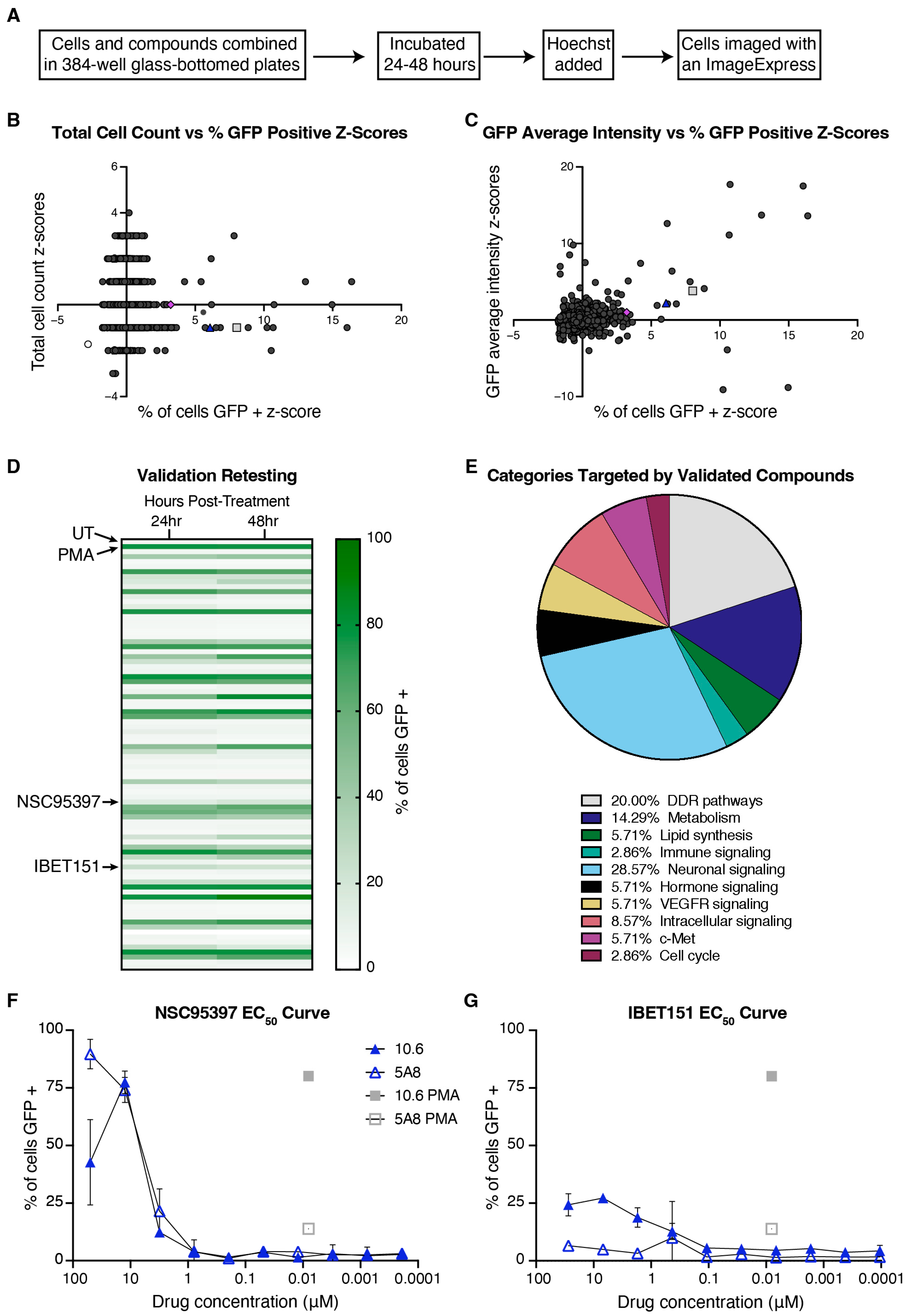Viruses 16 01783 g001