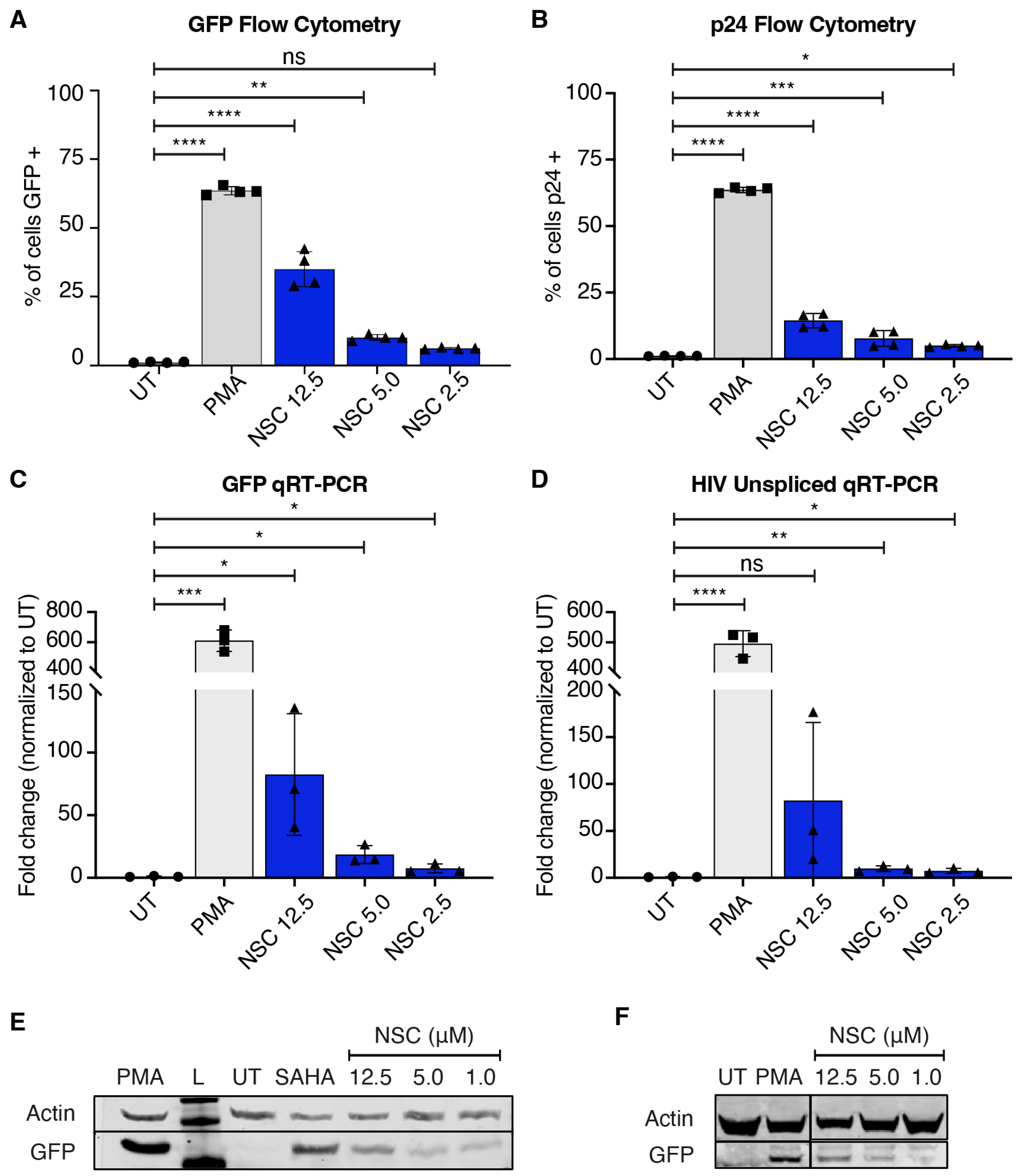 Viruses 16 01783 g002