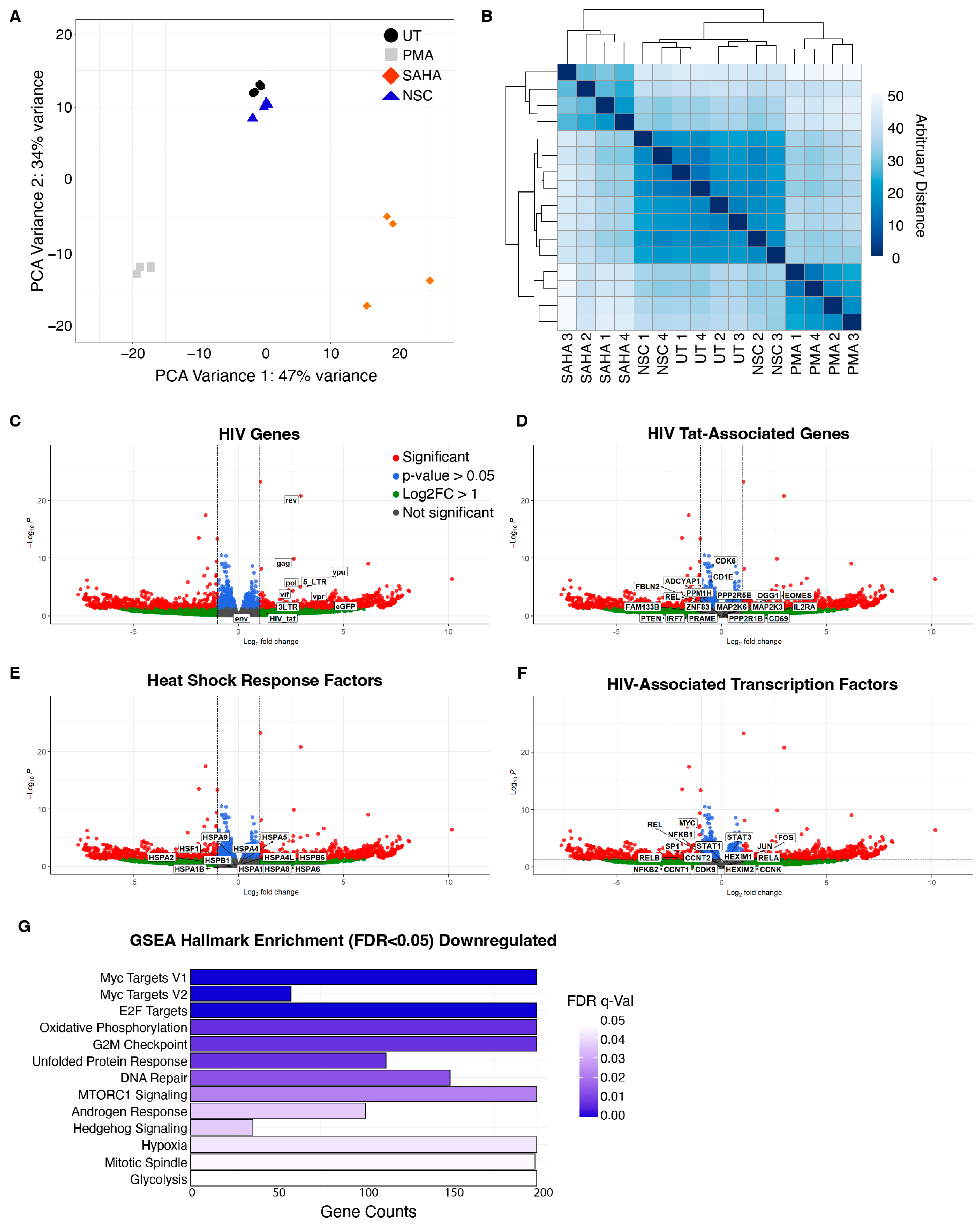 Viruses 16 01783 g006