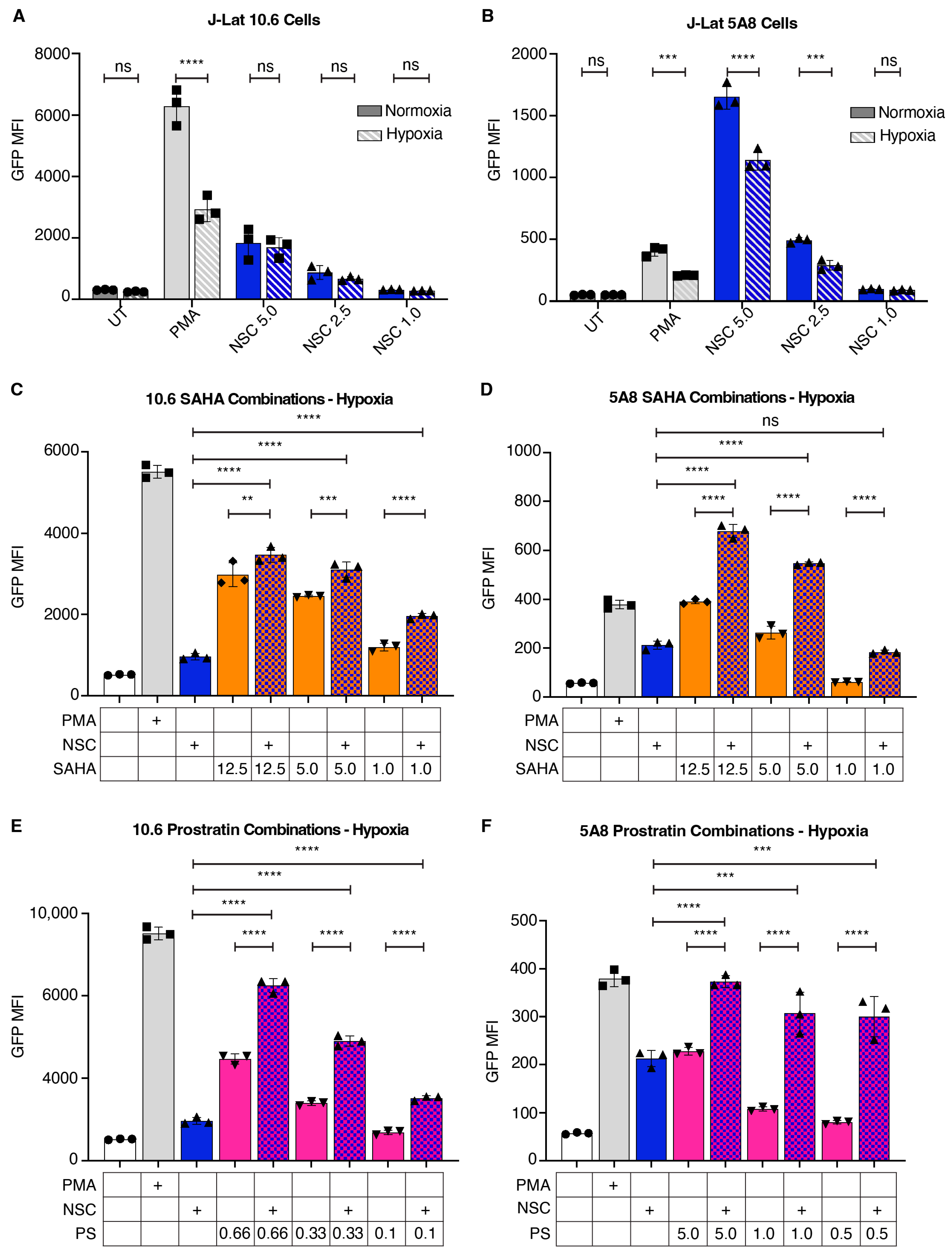 Viruses 16 01783 g008
