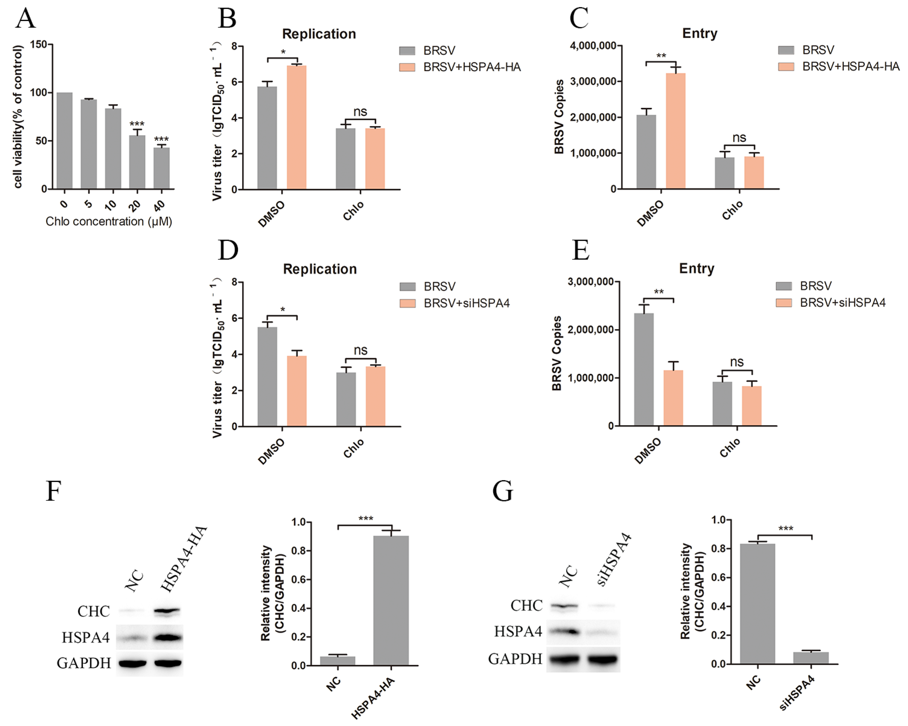 Viruses 16 01784 g003