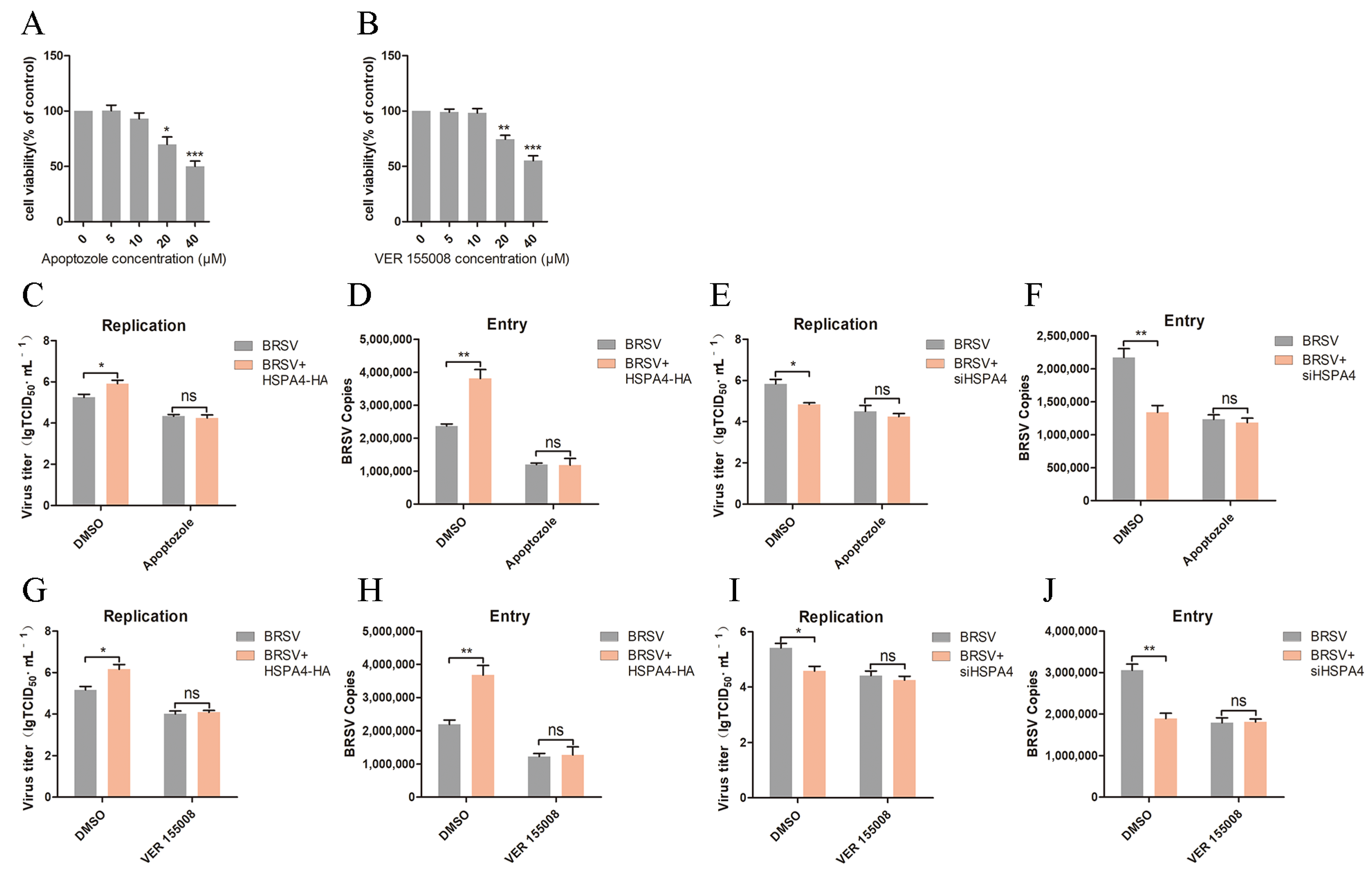 Viruses 16 01784 g006