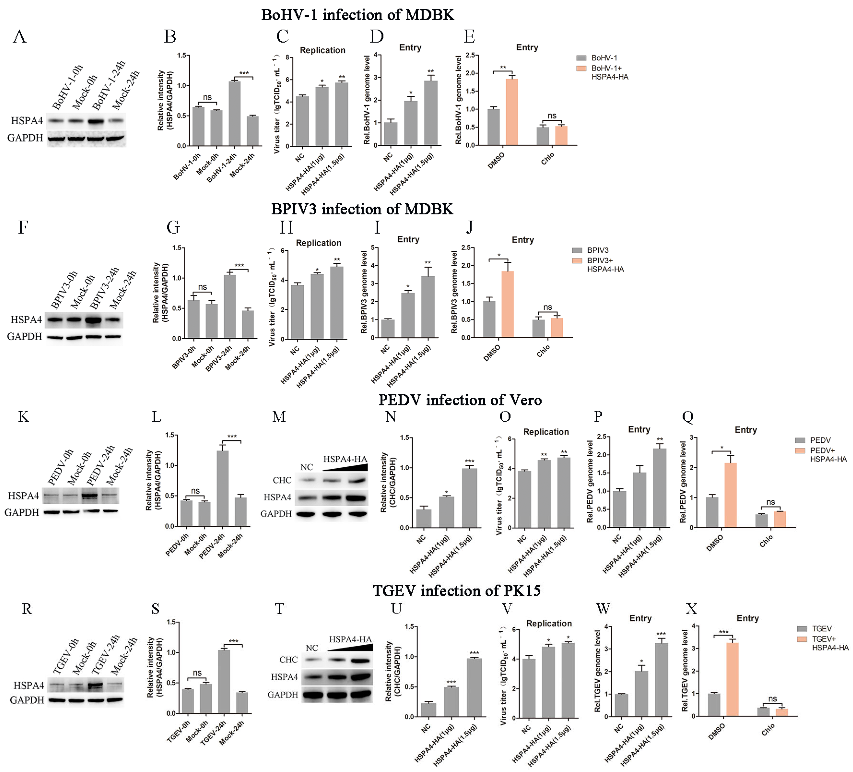 Viruses 16 01784 g007