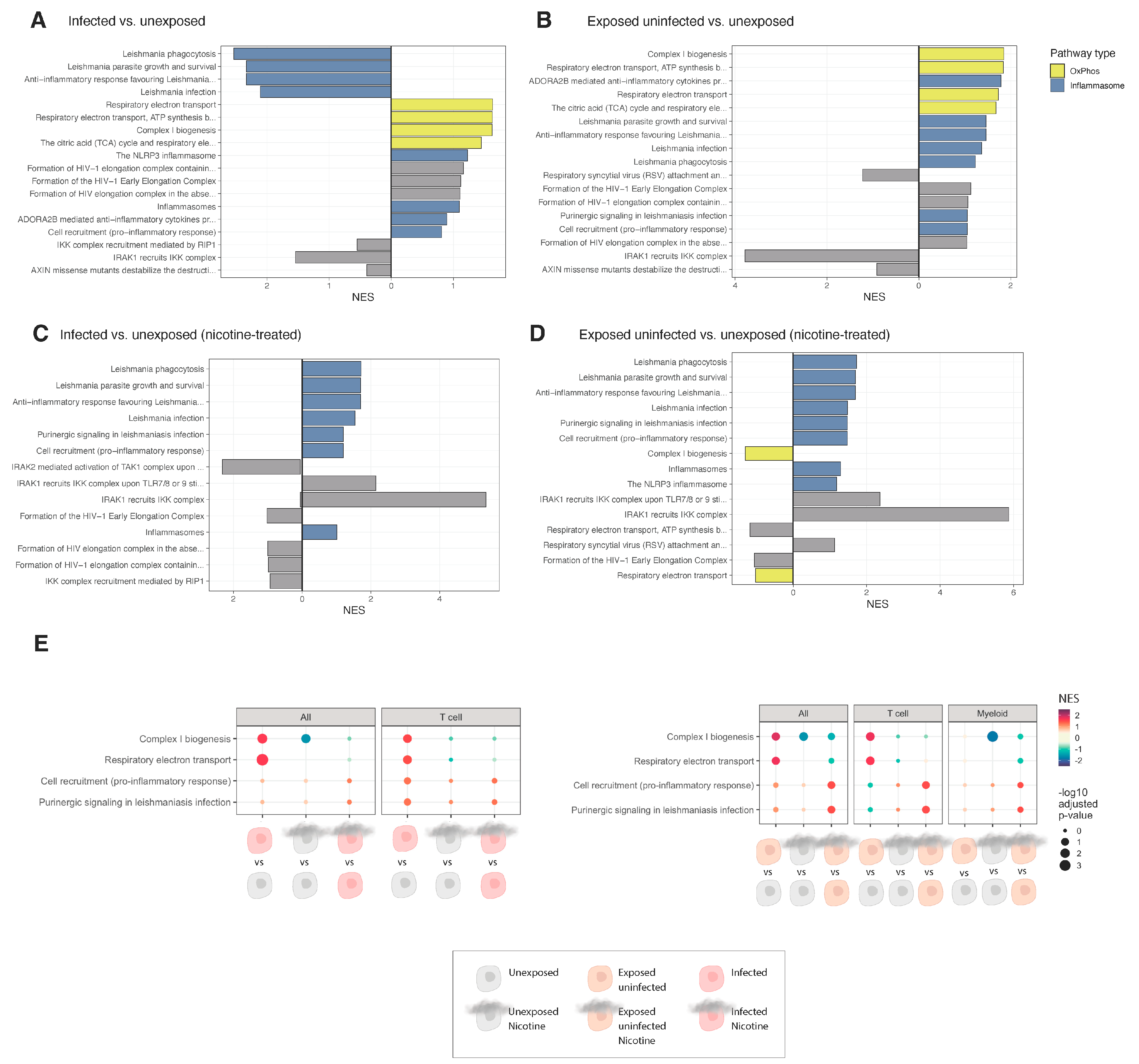 Viruses 16 01797 g006 Viruses 16 01797 g006