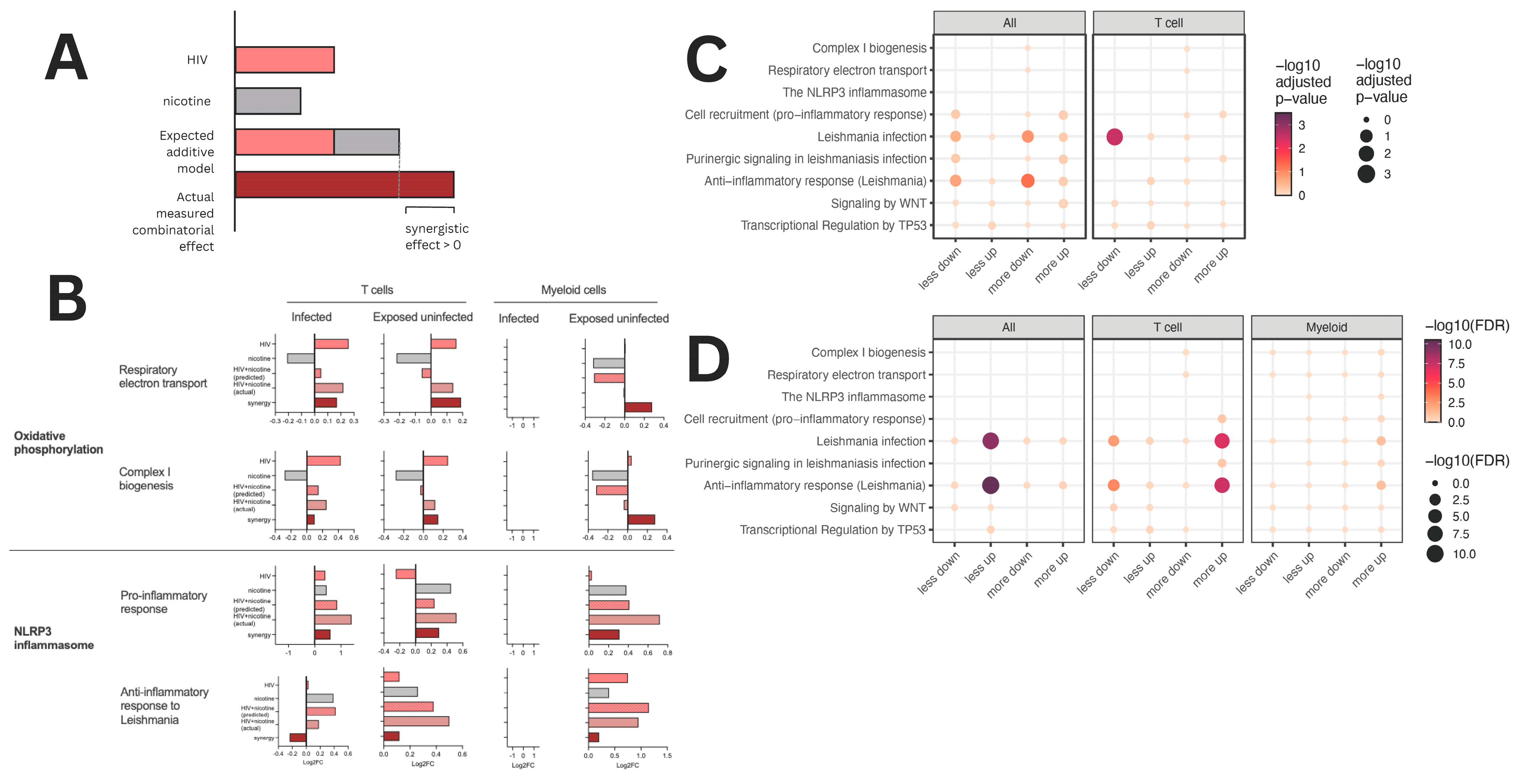 Viruses 16 01797 g007 Viruses 16 01797 g007
