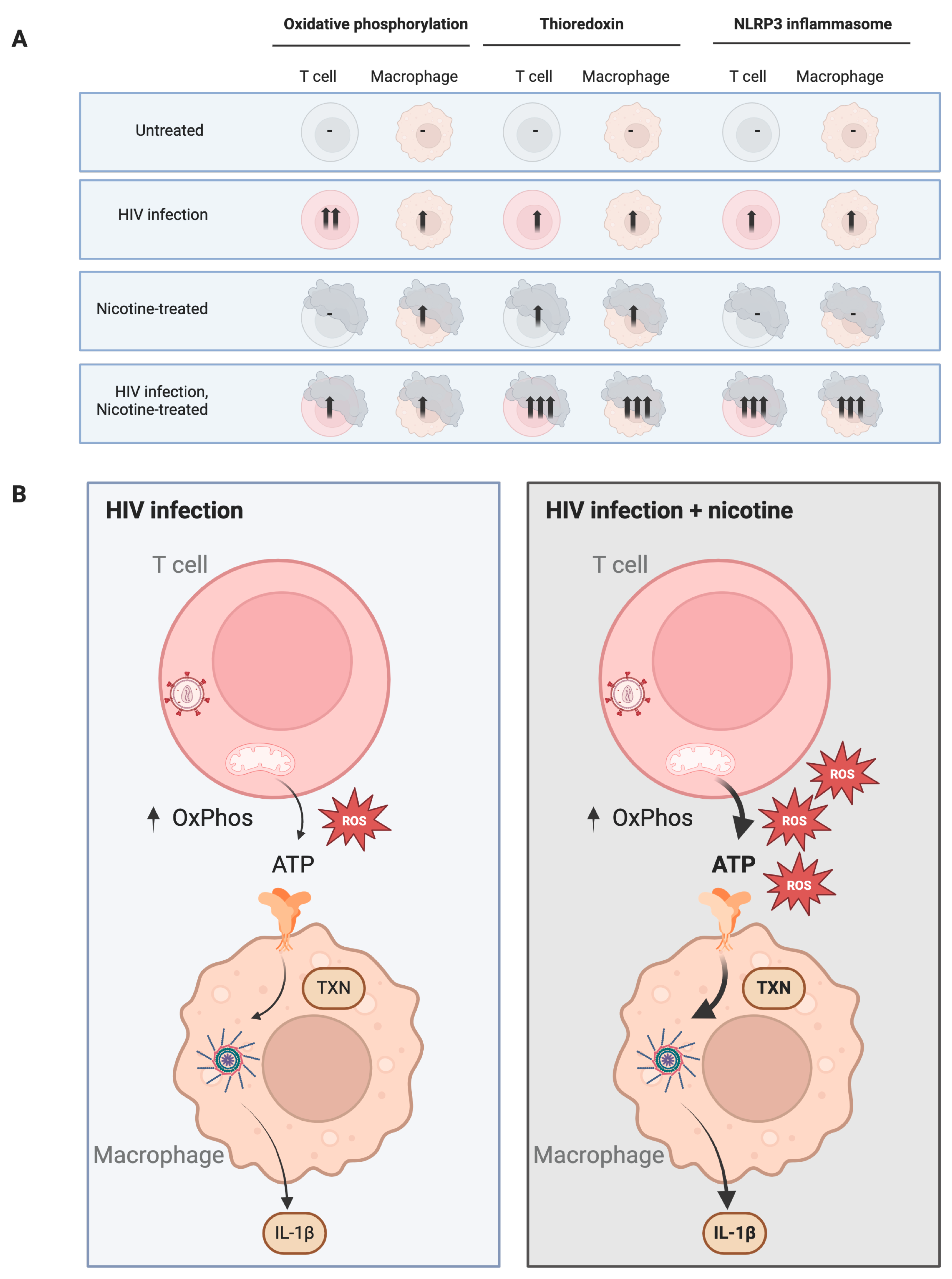 Viruses 16 01797 g008 Viruses 16 01797 g008