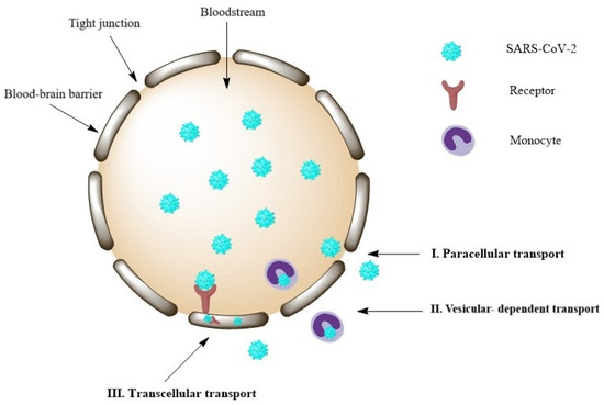 Viruses 16 01811 g003