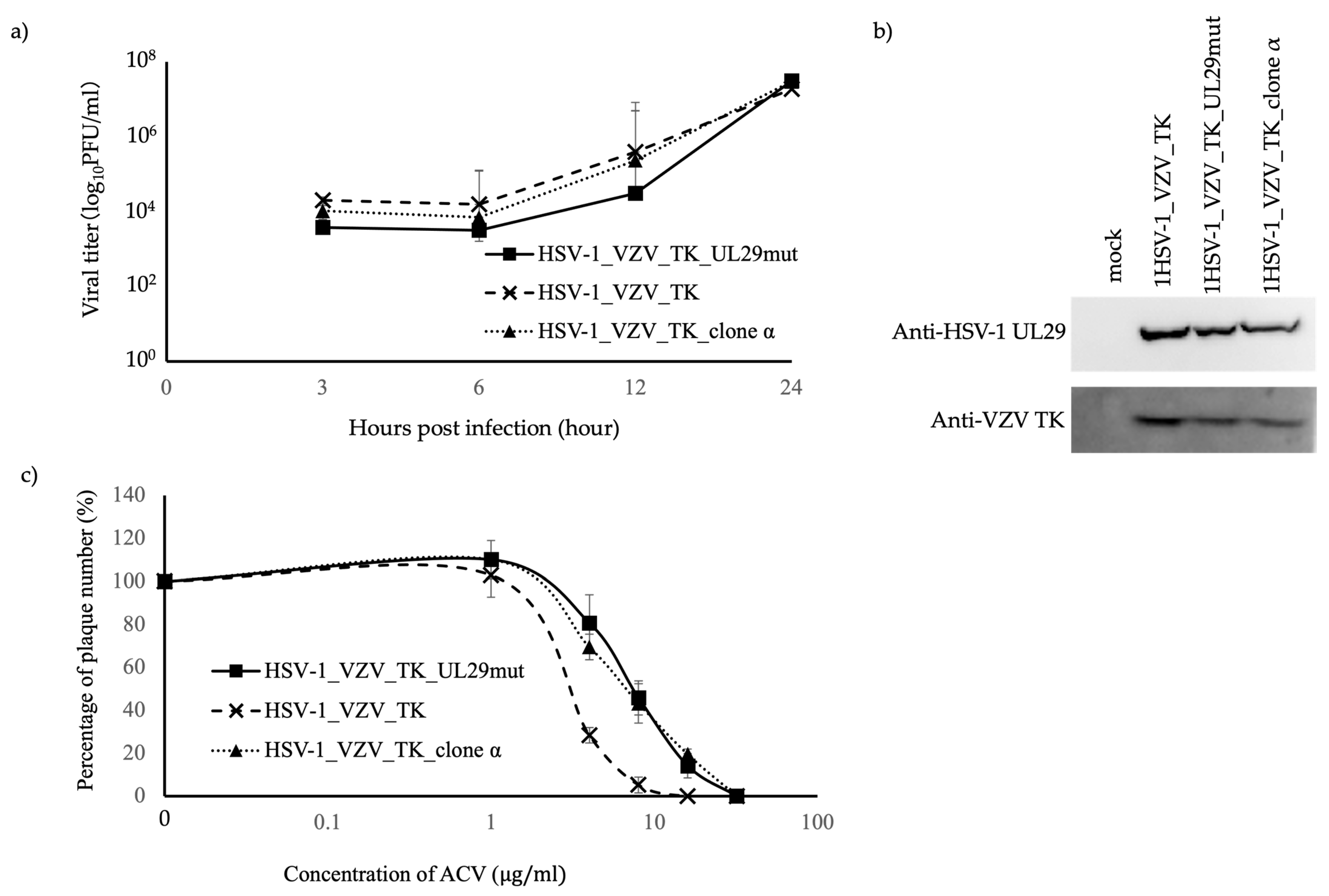 Viruses 16 01813 g002