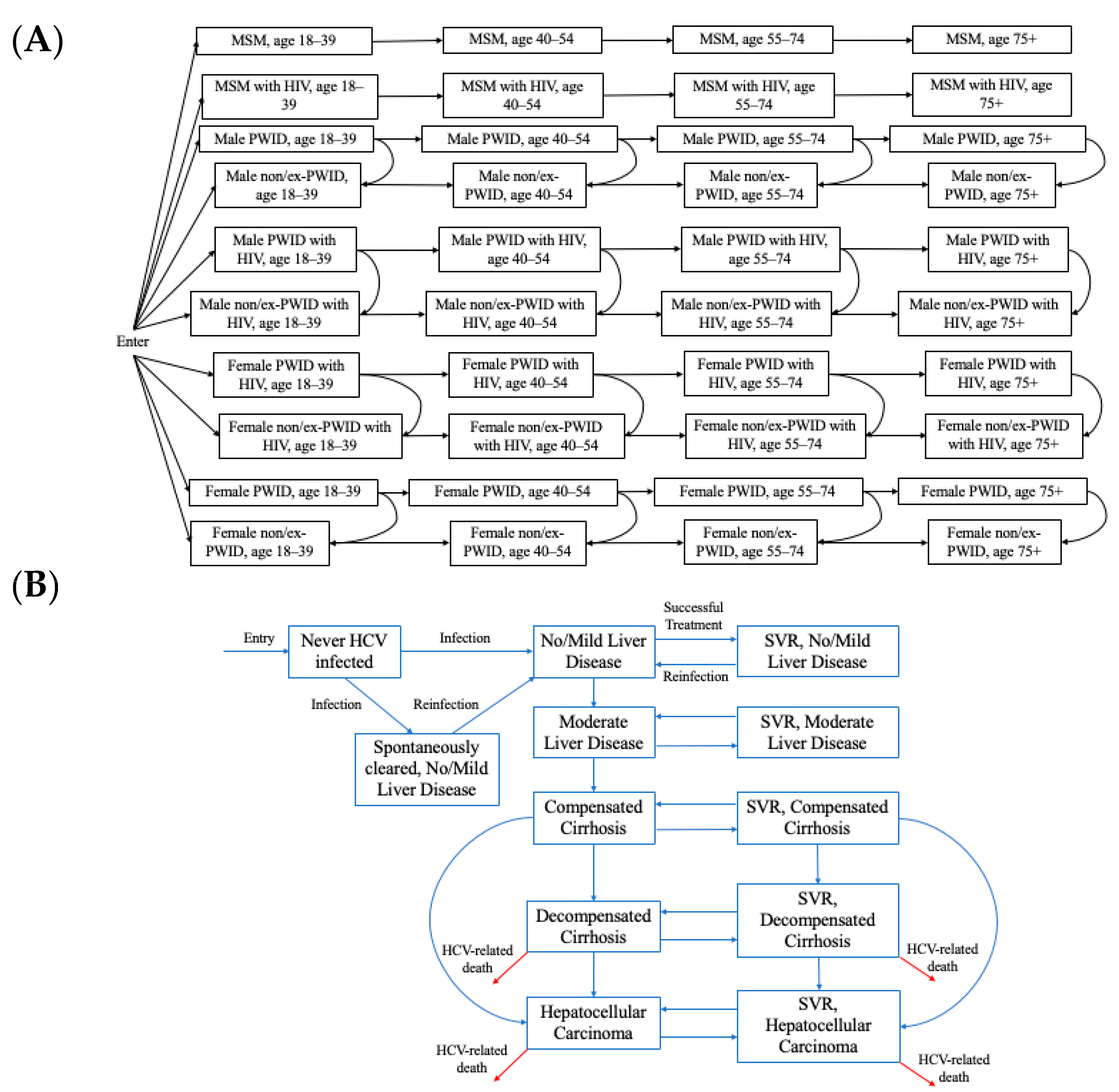 Viruses 16 01819 g001