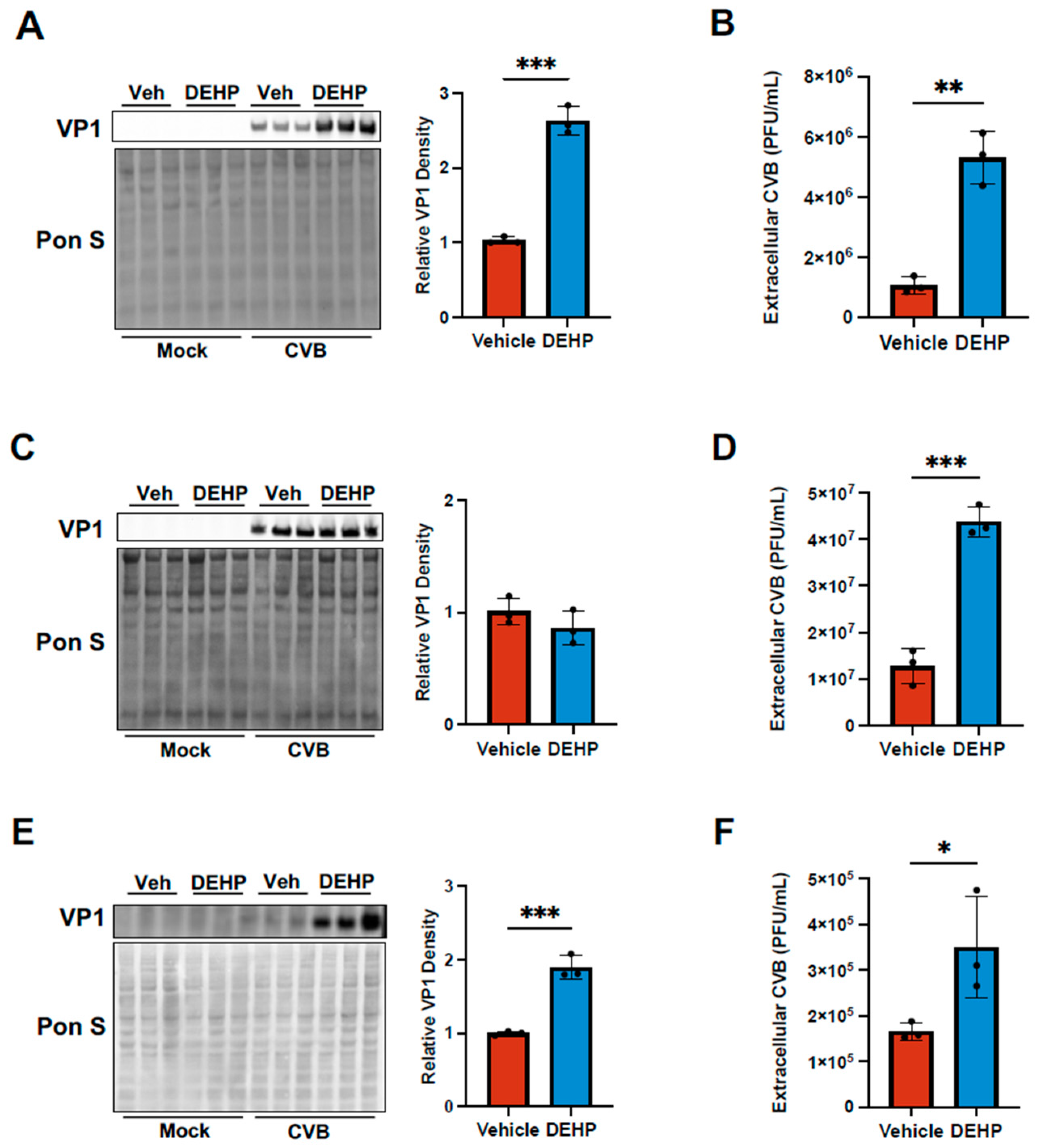 Viruses 16 01821 g002