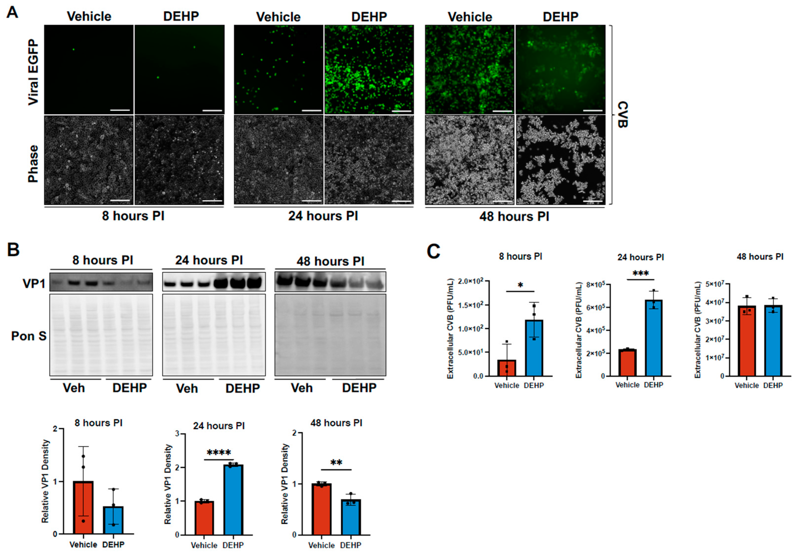 Viruses 16 01821 g005