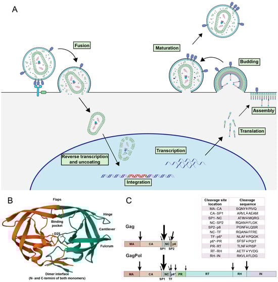 Viruses 16 01826 g001