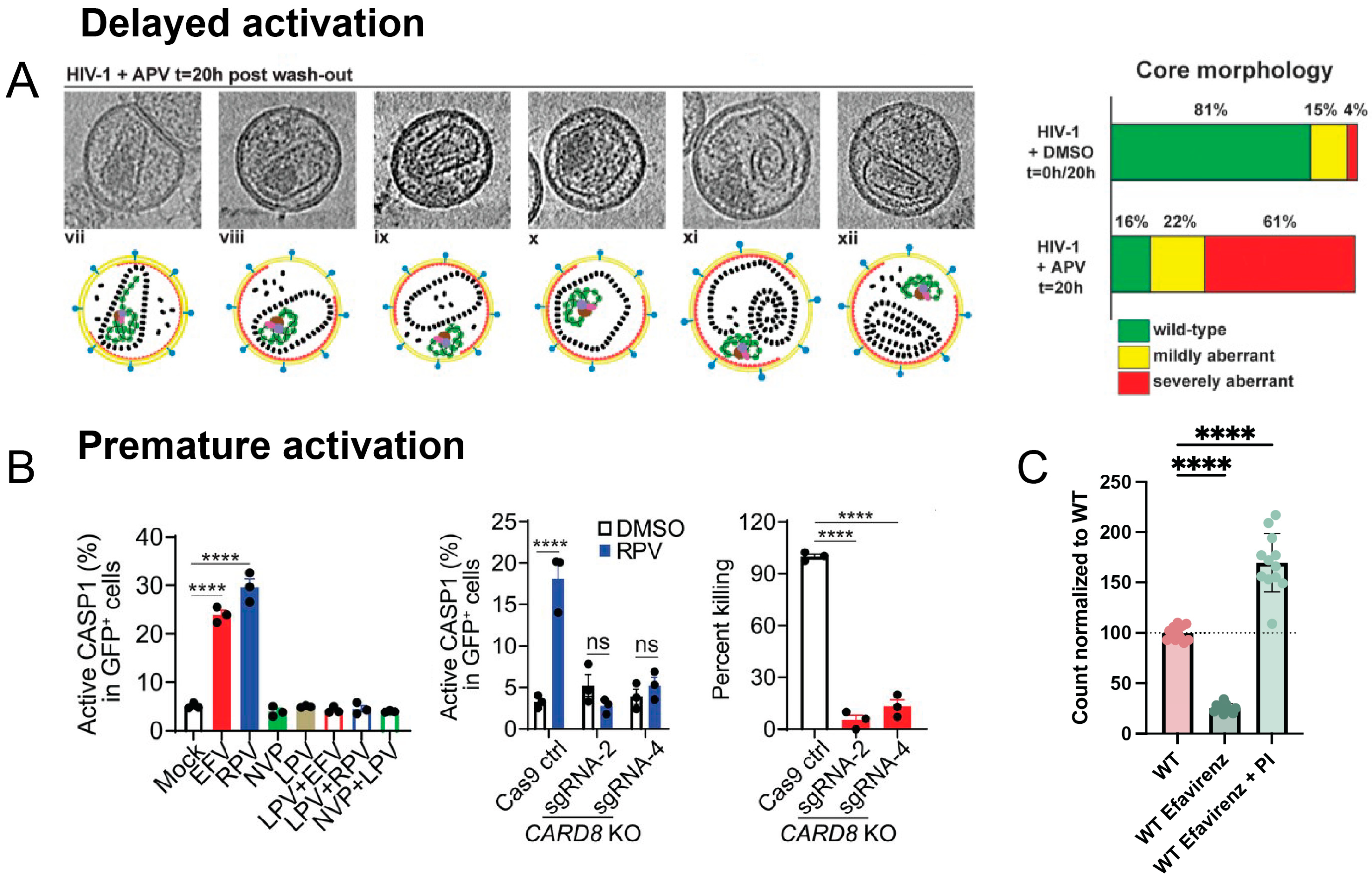 Viruses 16 01826 g005 Viruses 16 01826 g005