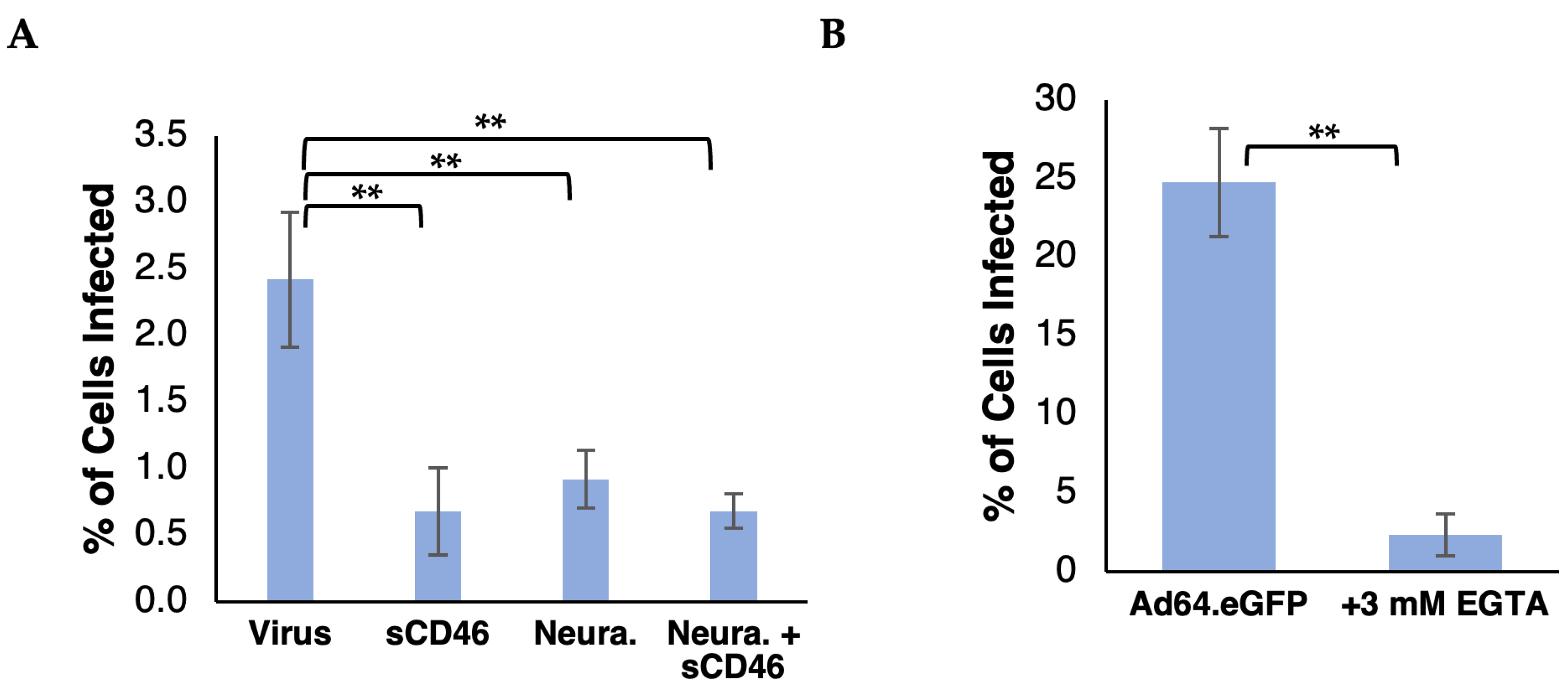 Viruses 16 01827 g004