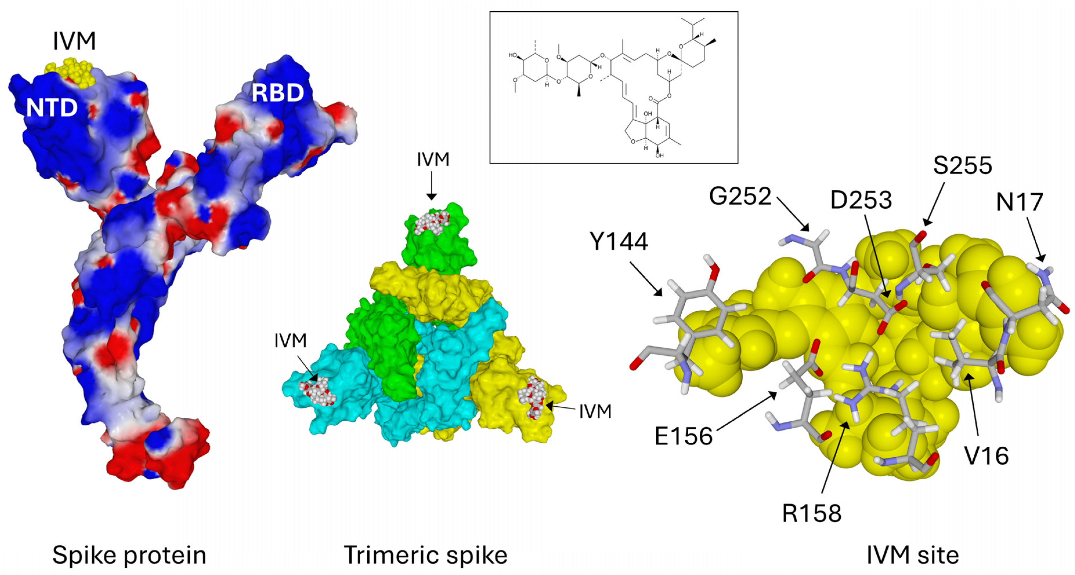 Viruses 16 01836 g002