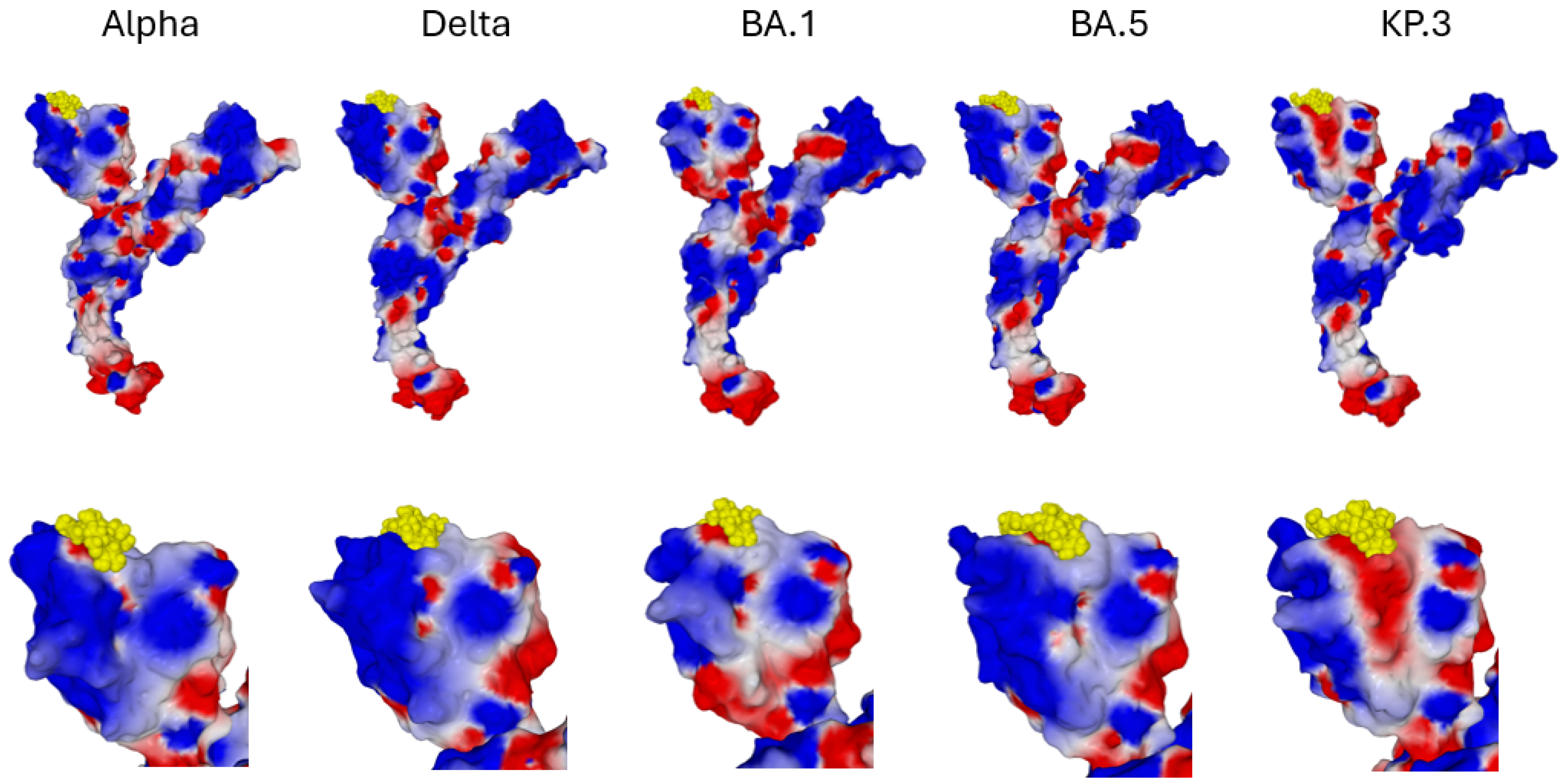 Viruses 16 01836 g005