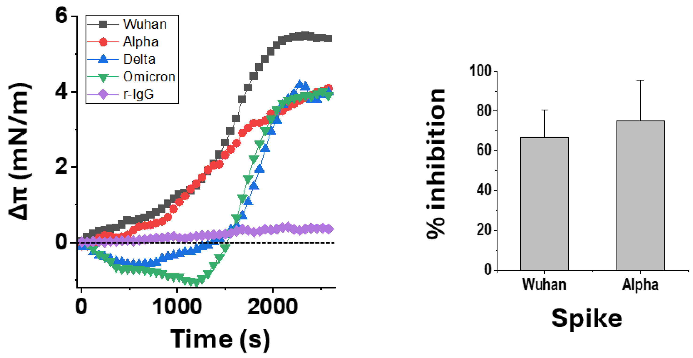 Viruses 16 01836 g007