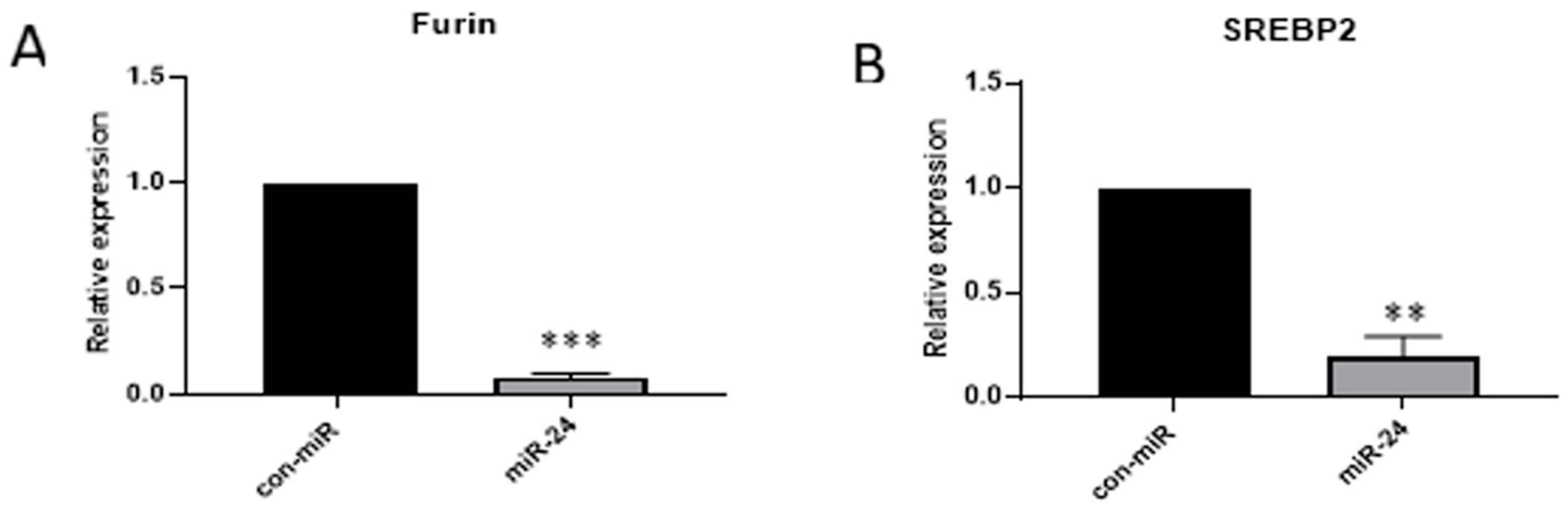 Viruses 16 01844 g003