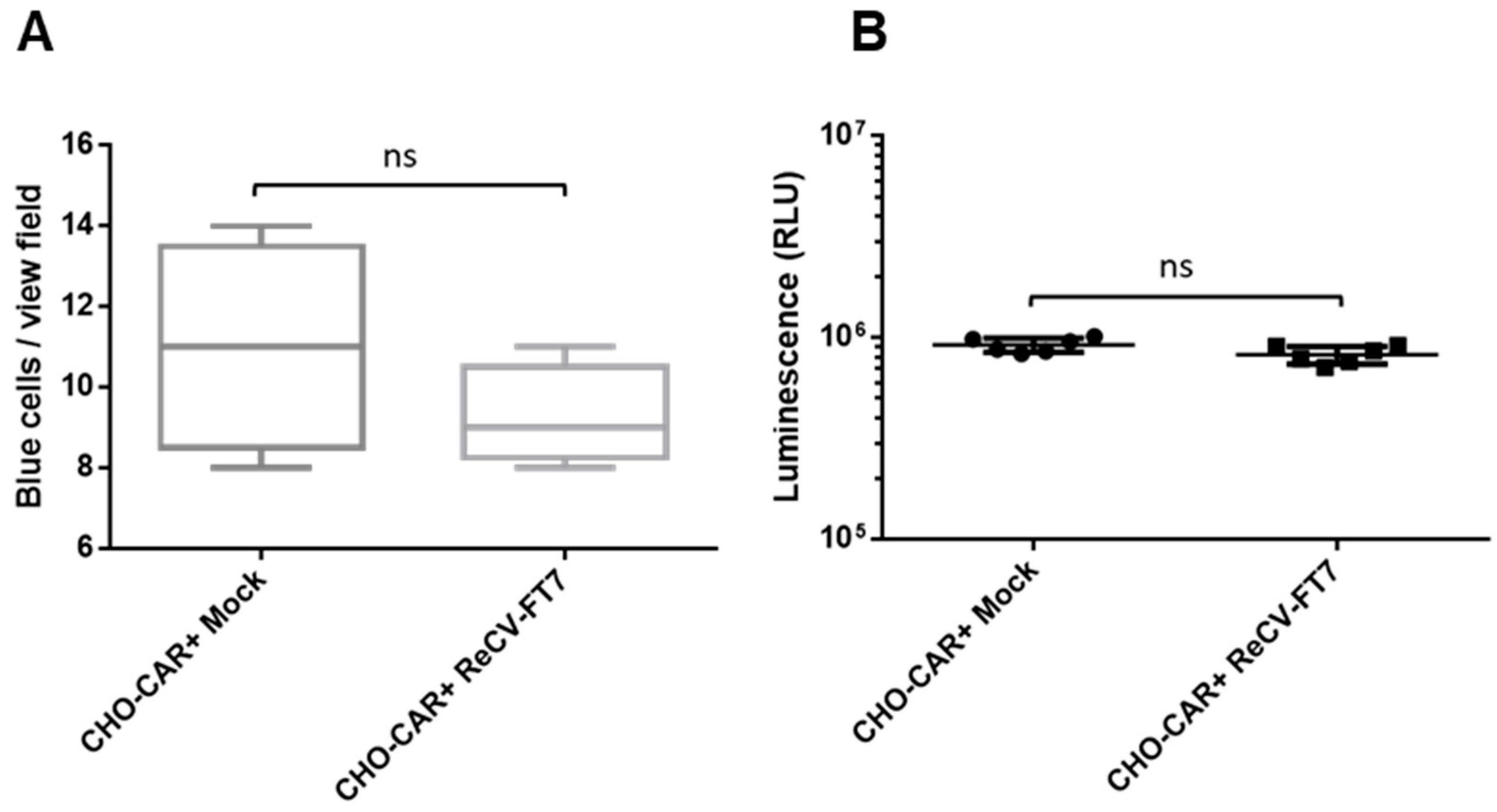 Viruses 16 01849 g002