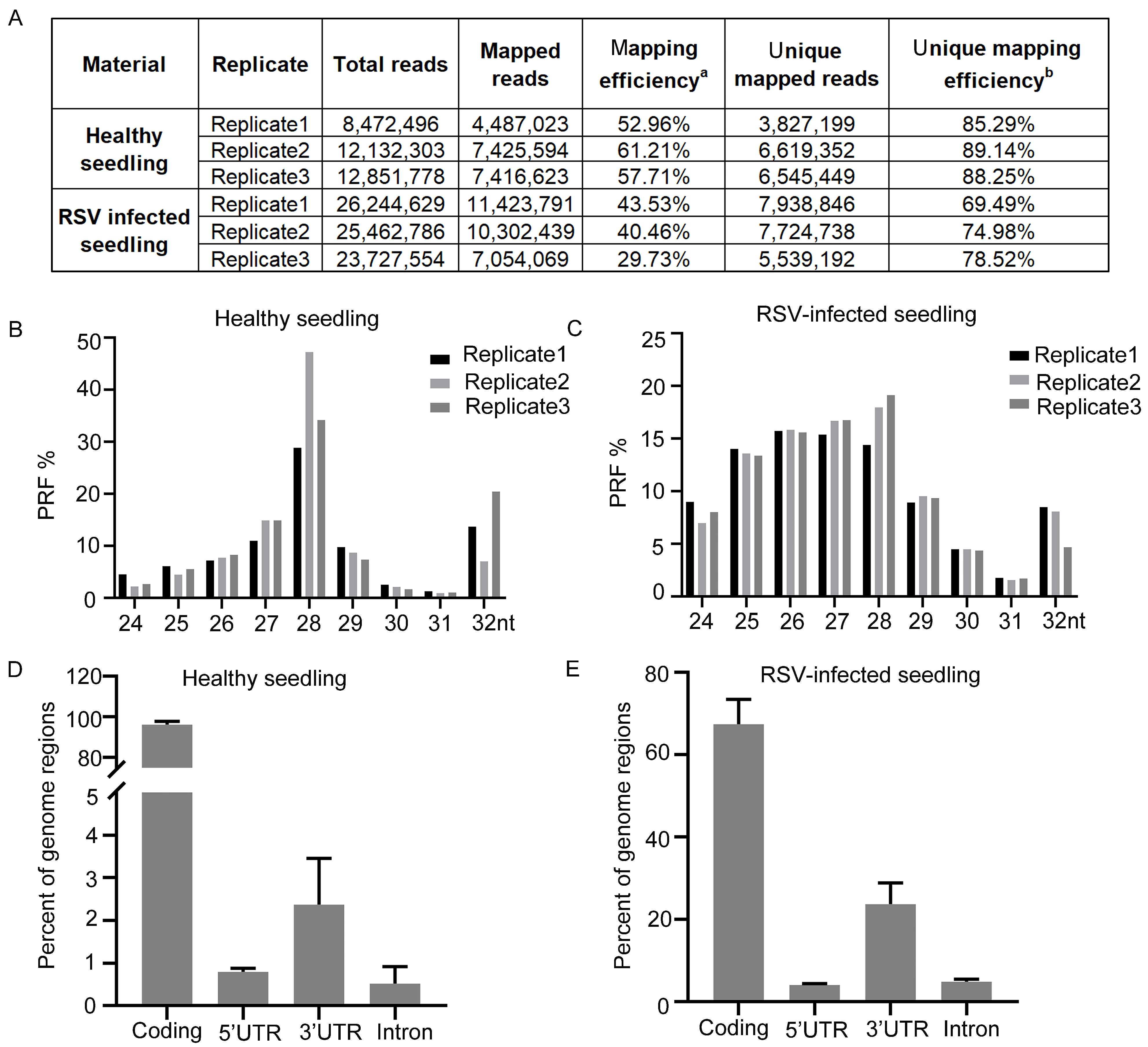 Viruses 16 01866 g001